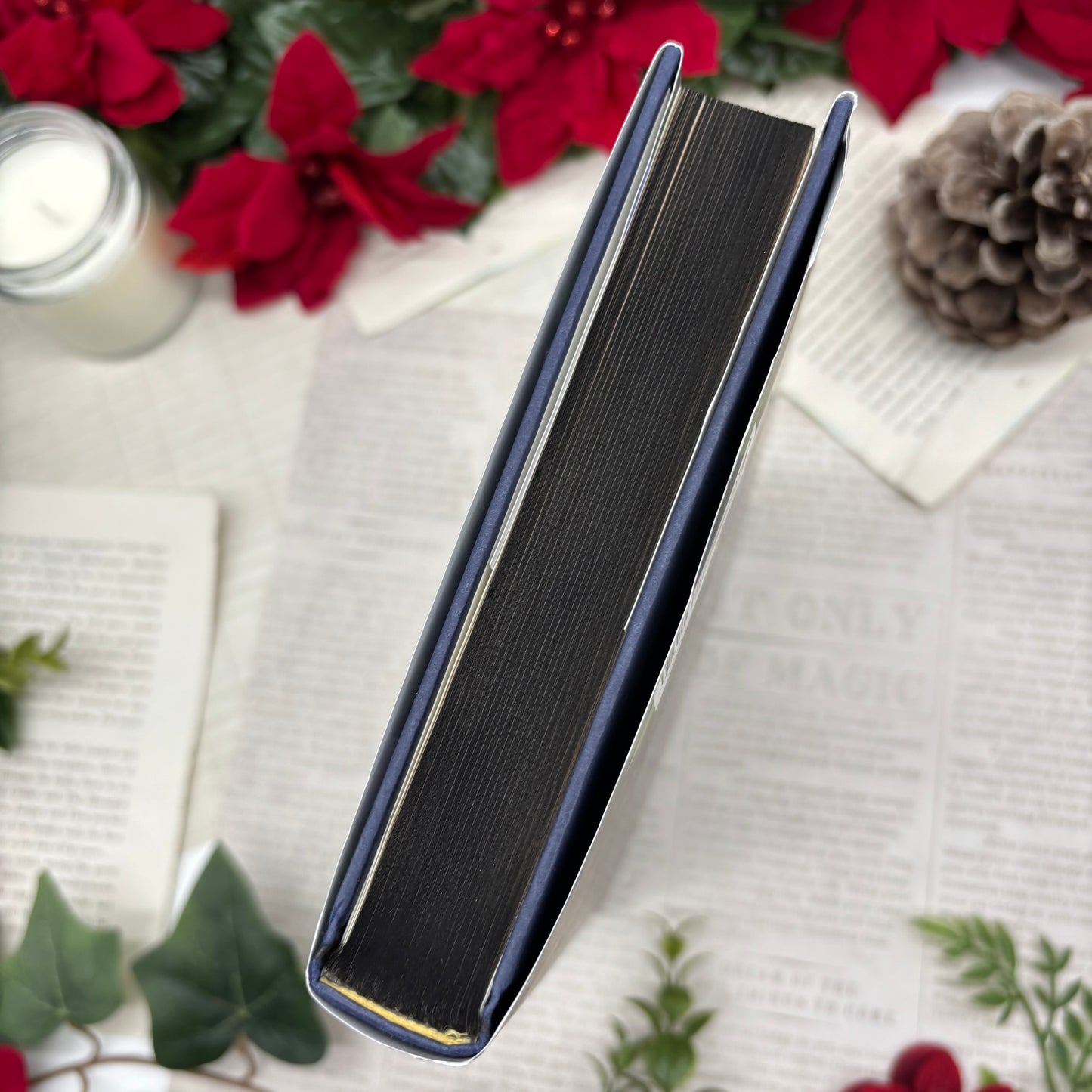 WOUNDED The Younger Wife