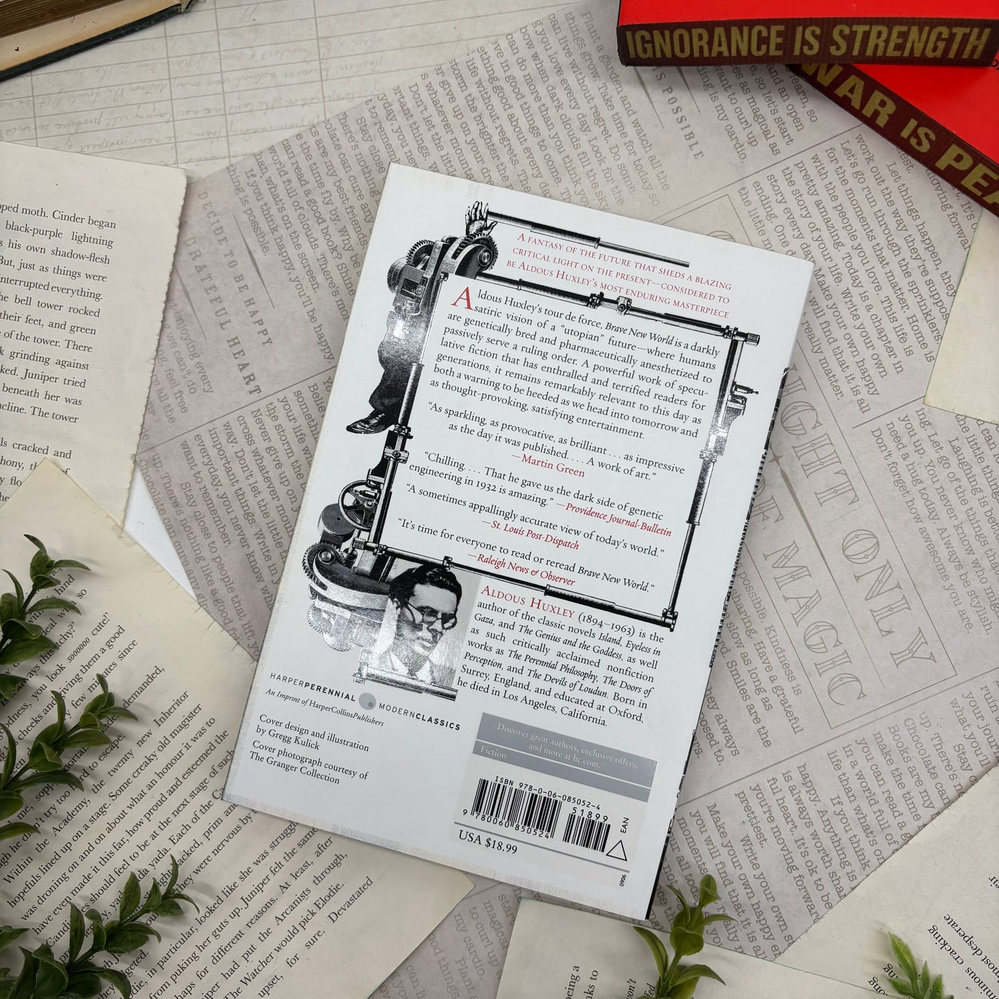 Brave New World by Aldous Huxley special edition paperback with custom designed edges back cover view