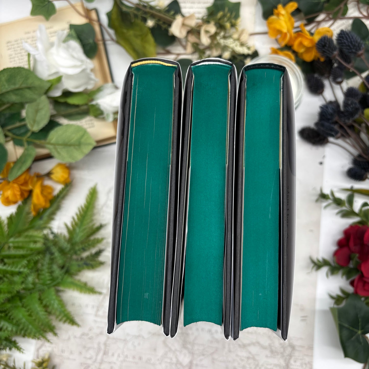 Custom edge-designed Holly Black fantasy books