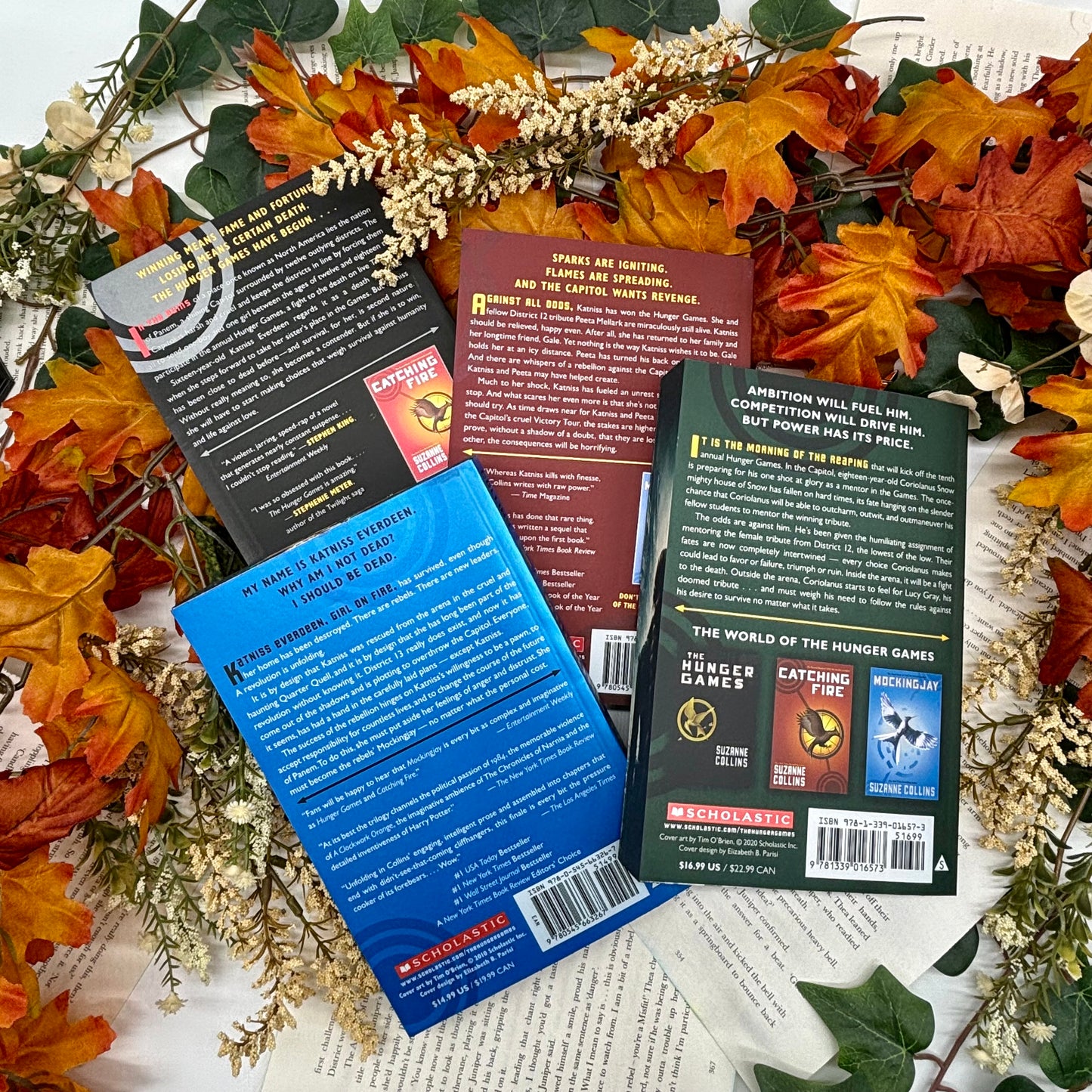 The Hunger Games by Suzanne Collins special edition paperback with custom designed edges back cover view