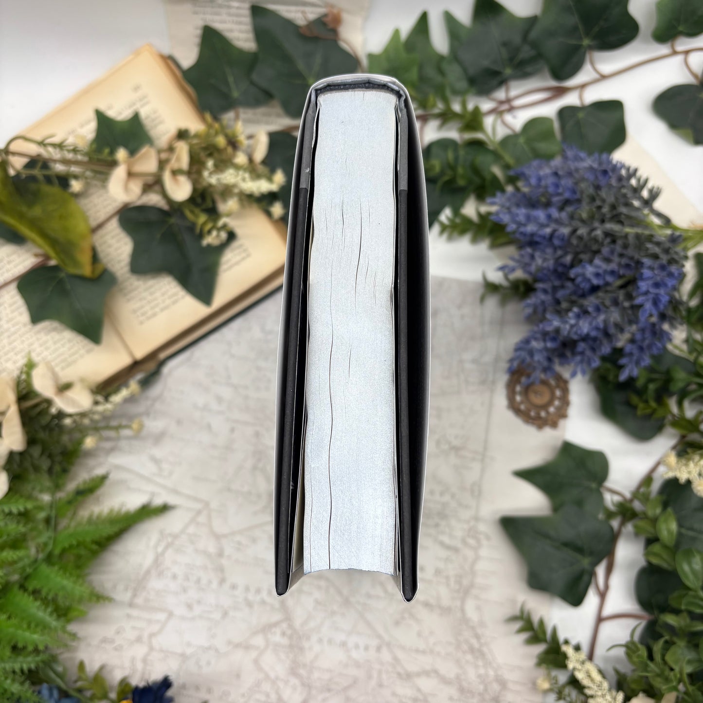 The Knight and the Moth special edition hardcover with printed edges airbrushed top