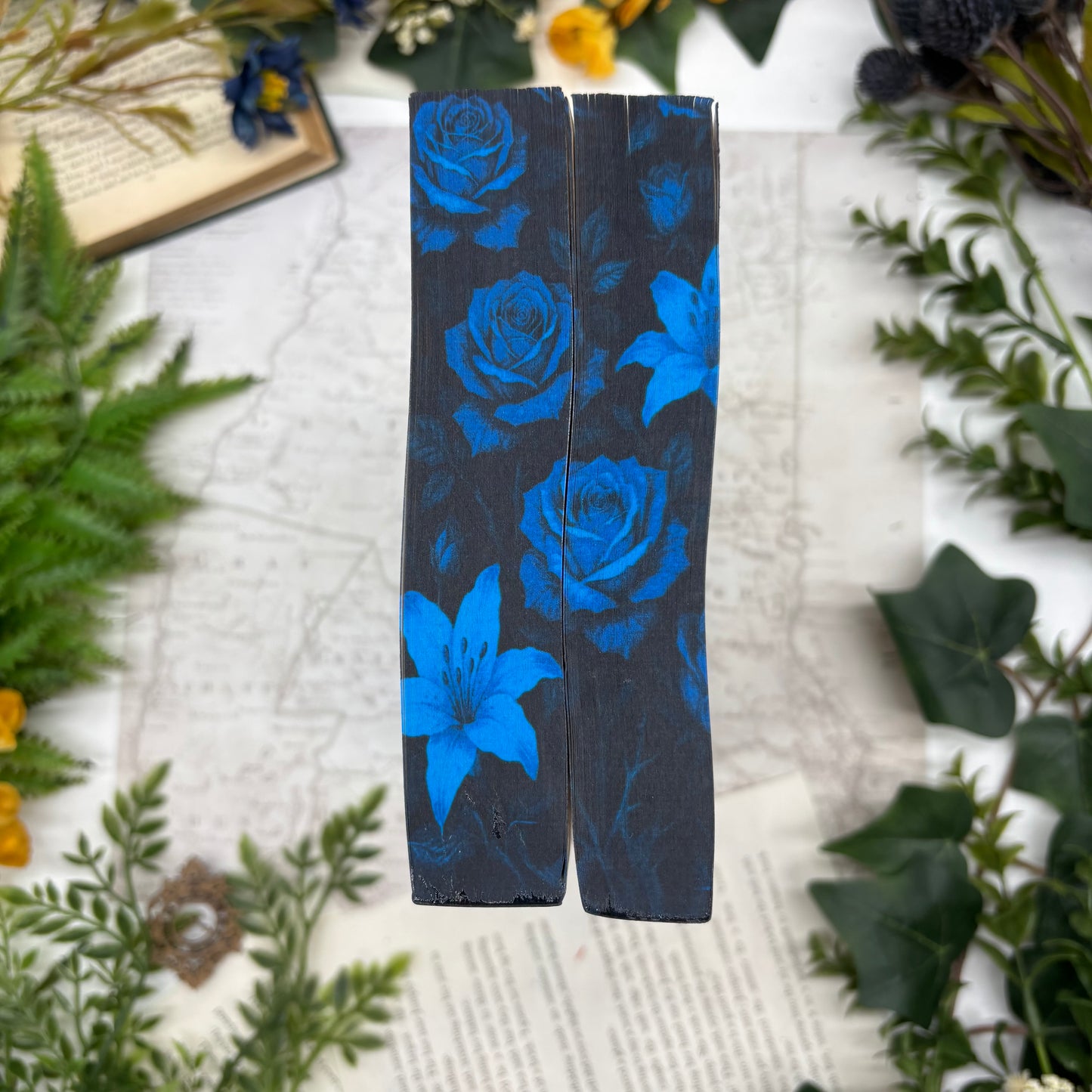 navessa-allen-custom-edge-books