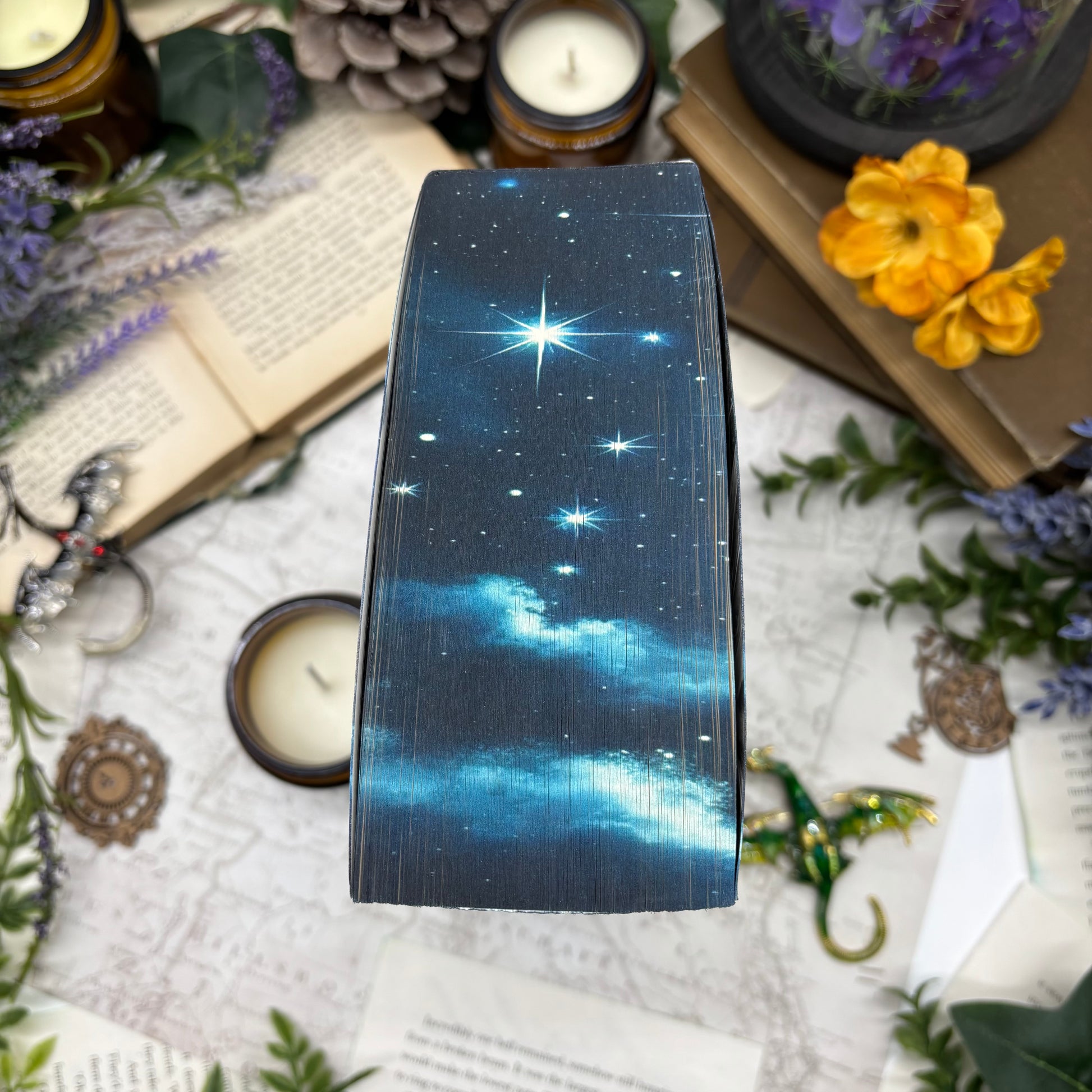 When the Moon Hatched special edition paperback with custom edges top