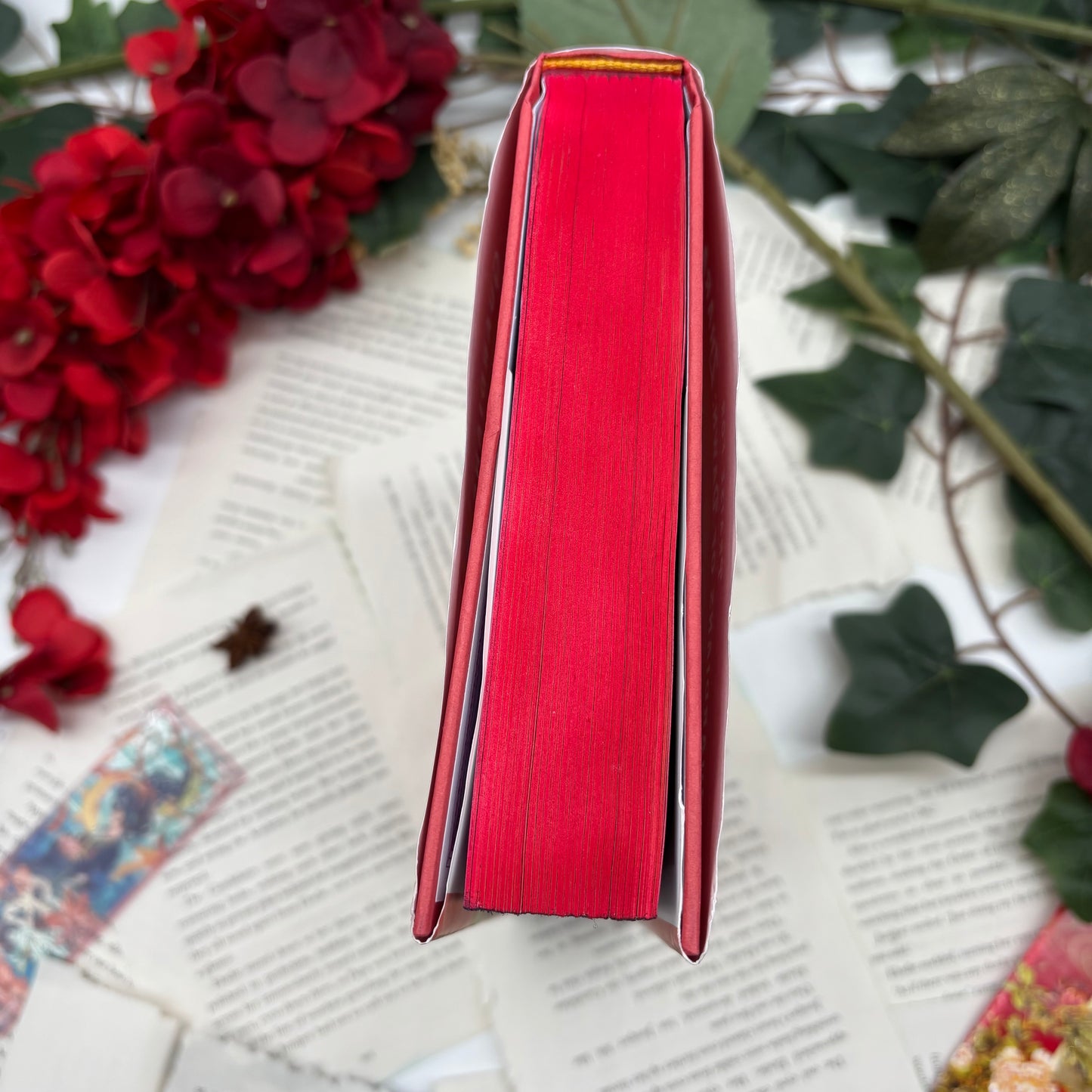 Airbrushed tops Zhara special edition hardcover