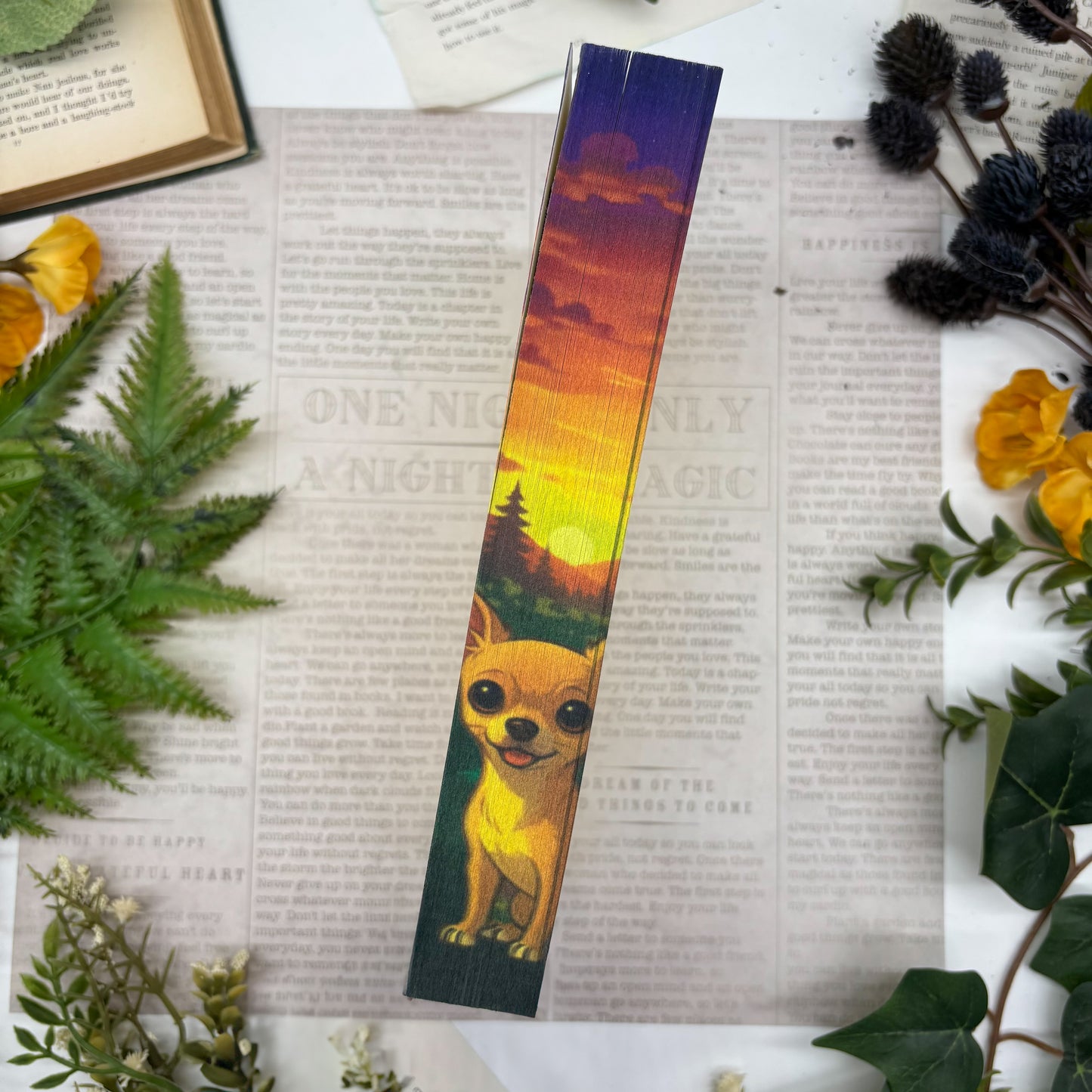 Abby Jimenez Life’s Too Short