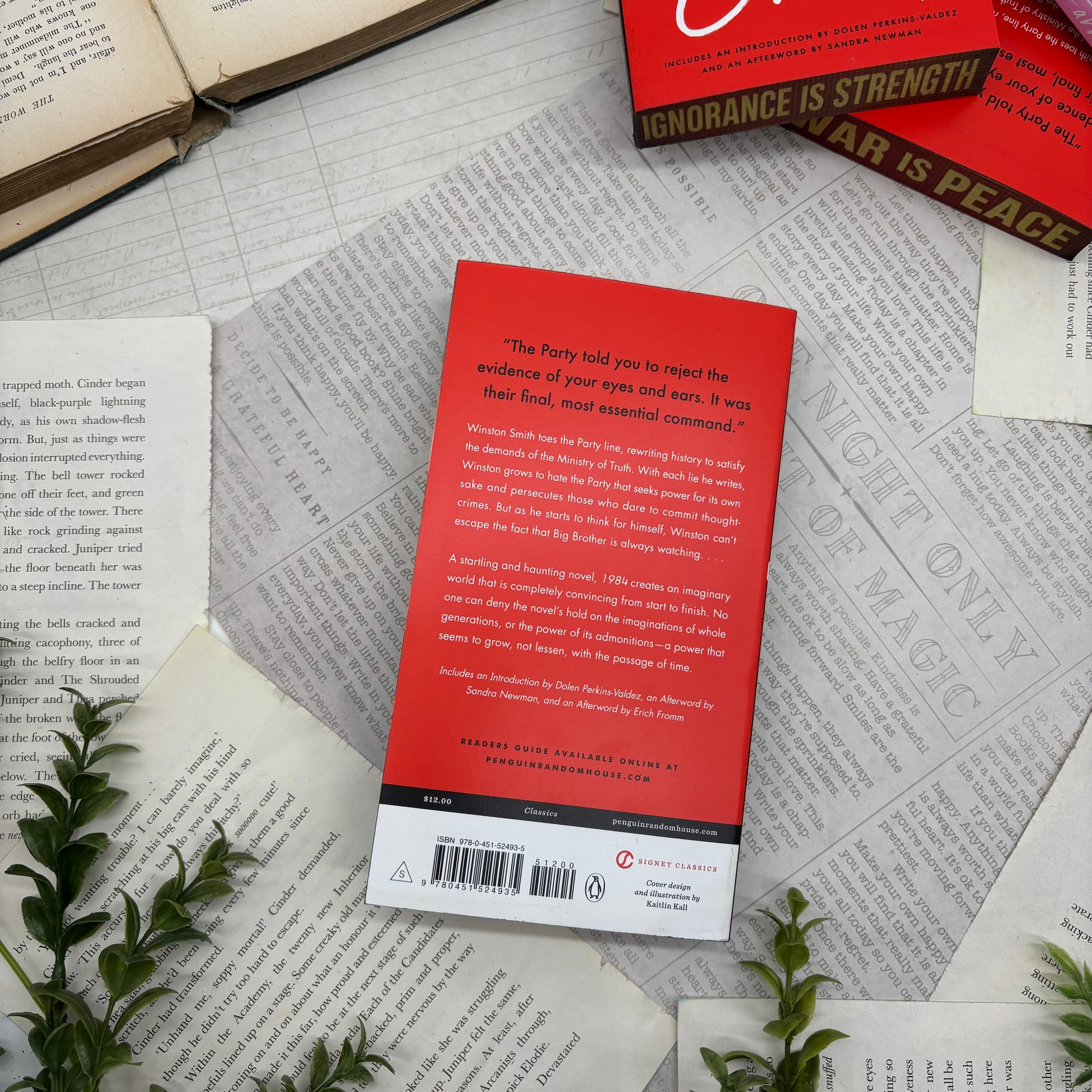 back view of 1984 paperback showing custom sprayed edges special edition