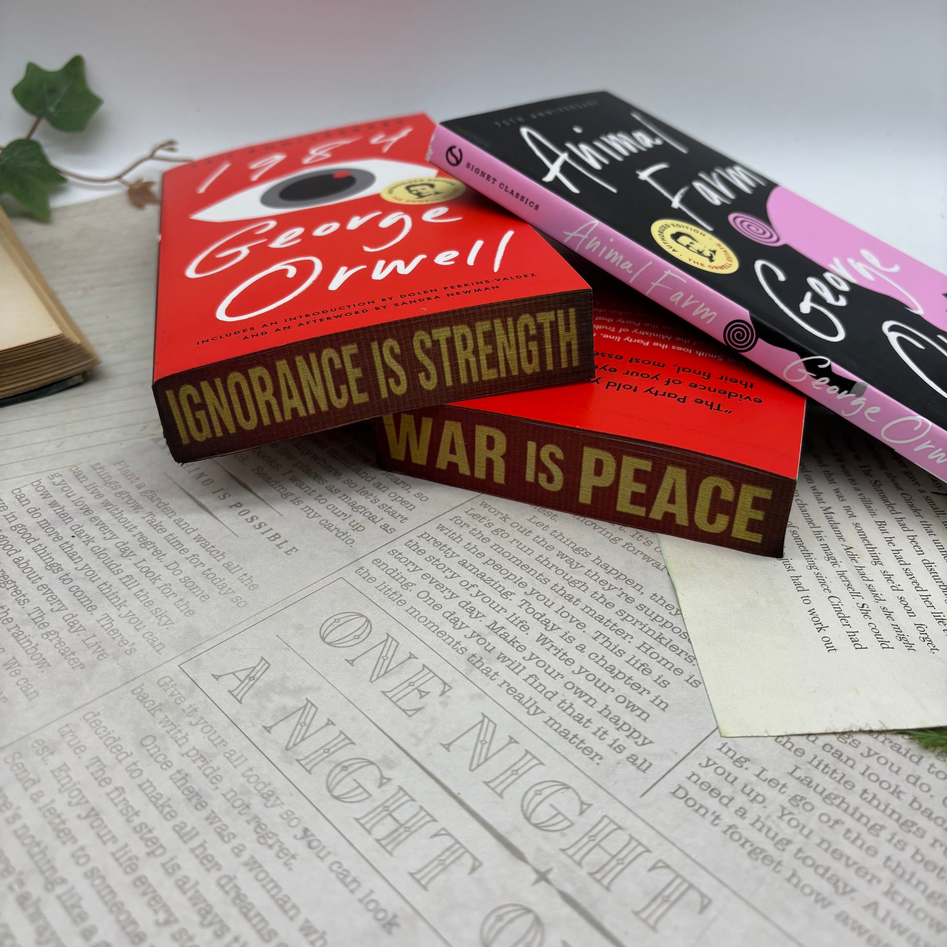 side view of 1984 paperback showing custom sprayed edges special edition