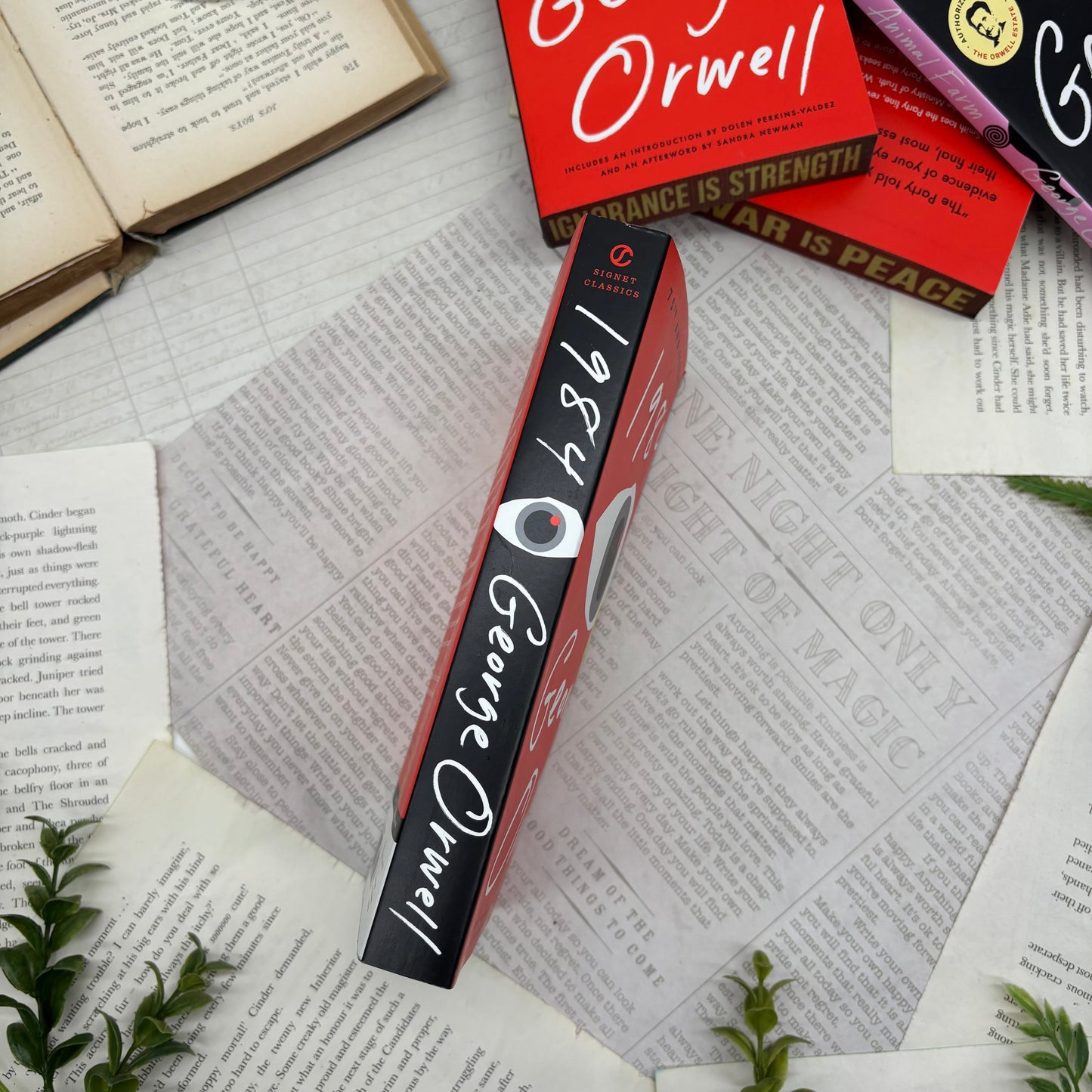 spine view of 1984 paperback showing custom sprayed edges special edition