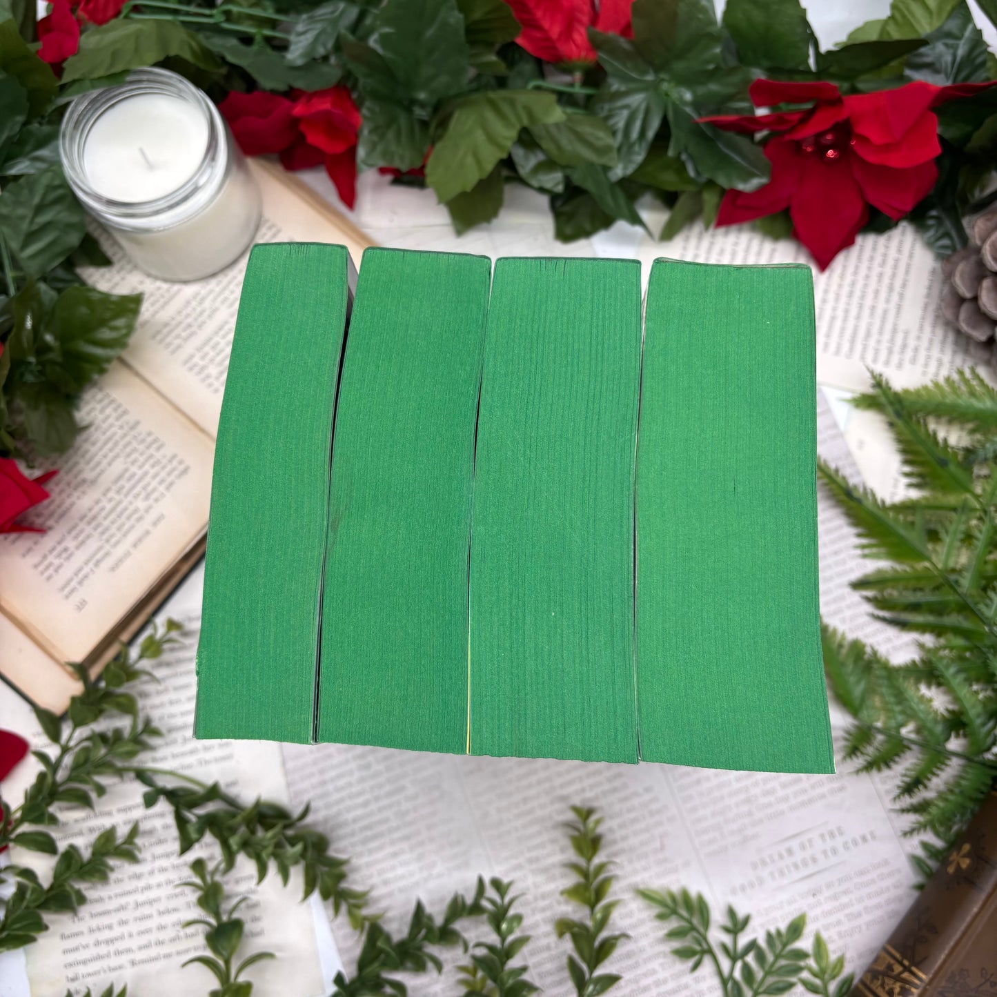 The Inheritance Cycle Paperback