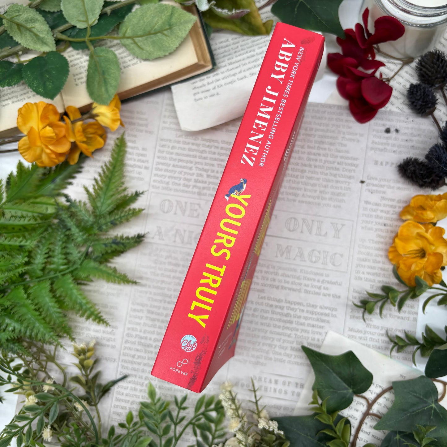 Abby Jimenez Yours Truly