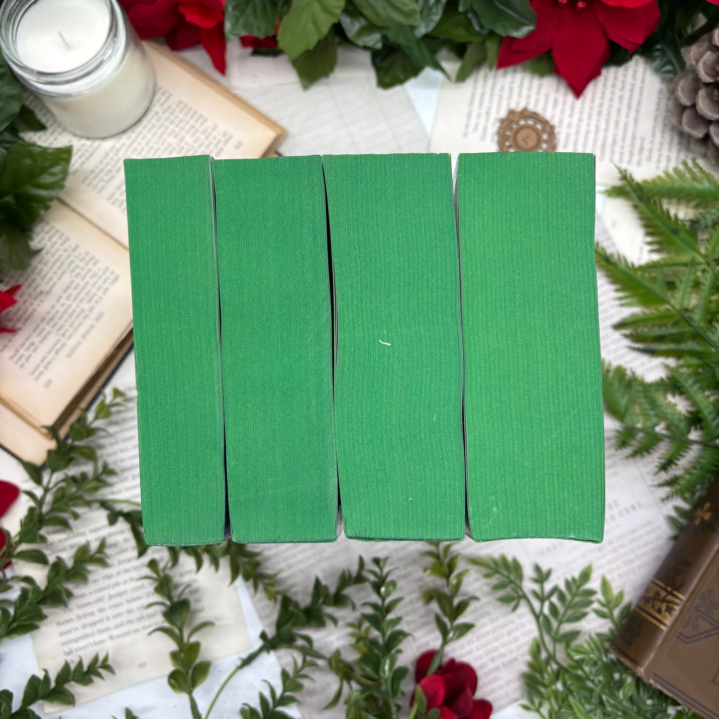 The Inheritance Cycle Paperback