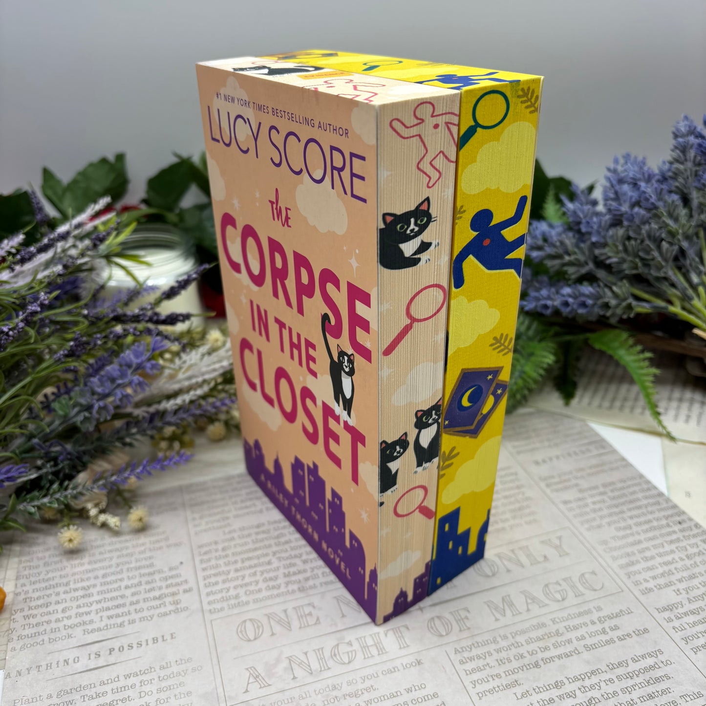 Lucy Score Riley Thorne Mystery Set