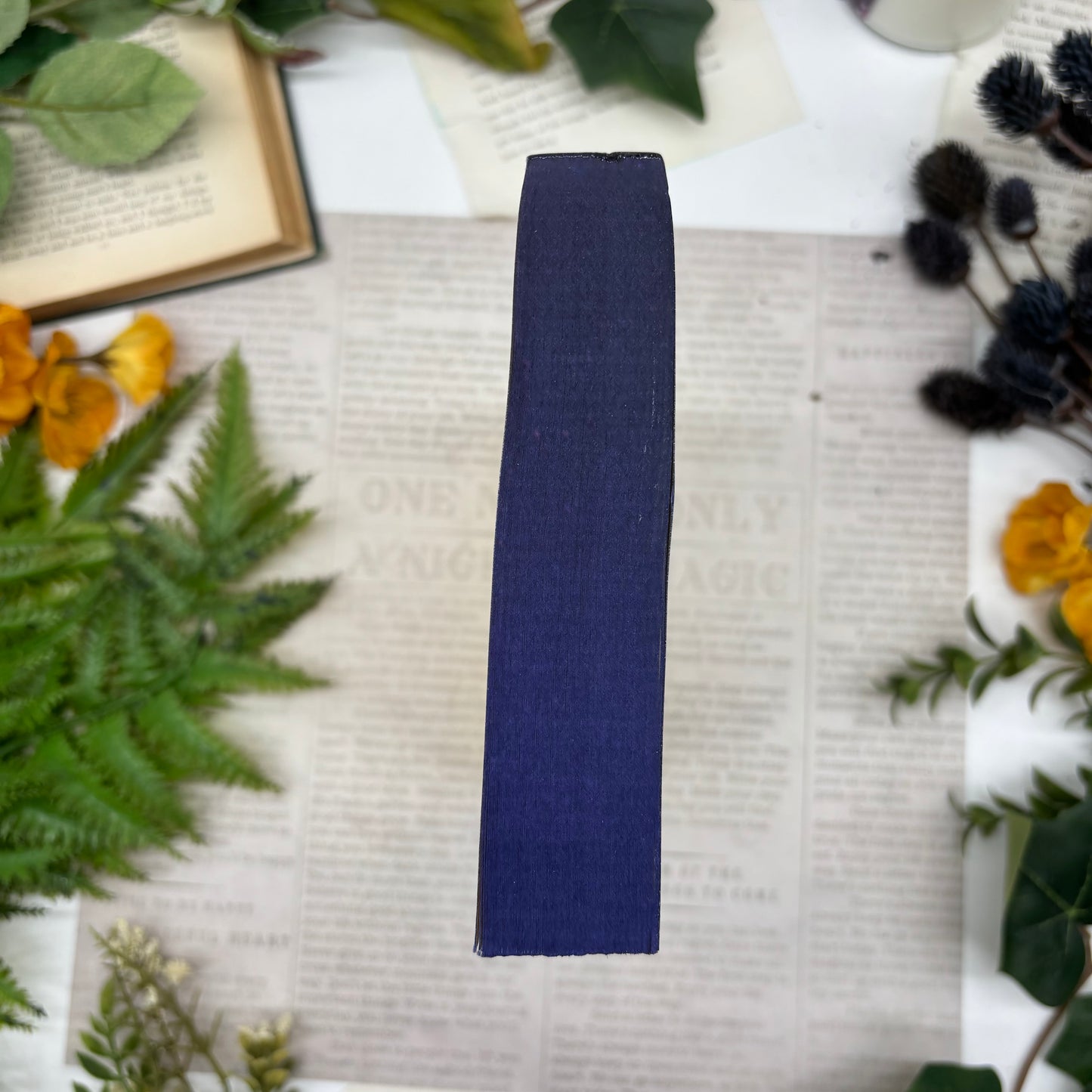 Abby Jimenez Life’s Too Short