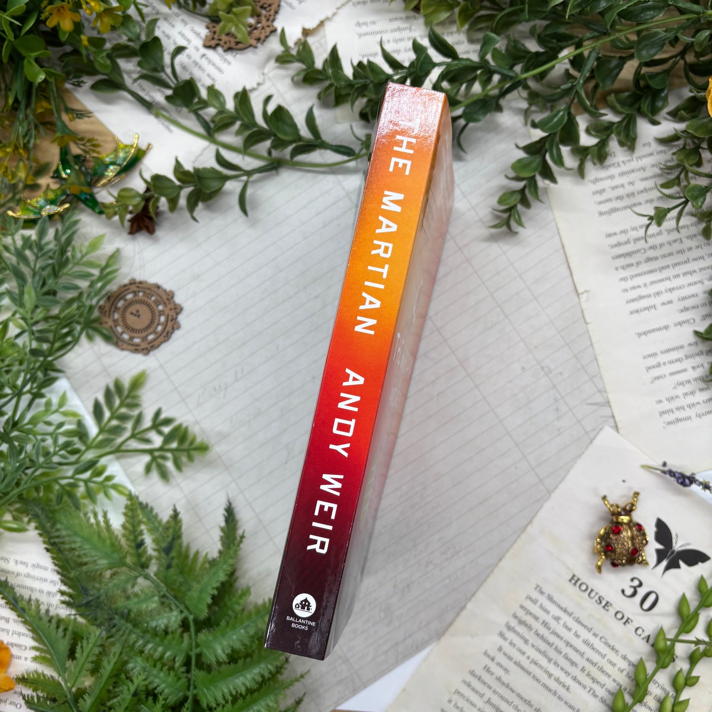 Andy Weir The Martian Paperback