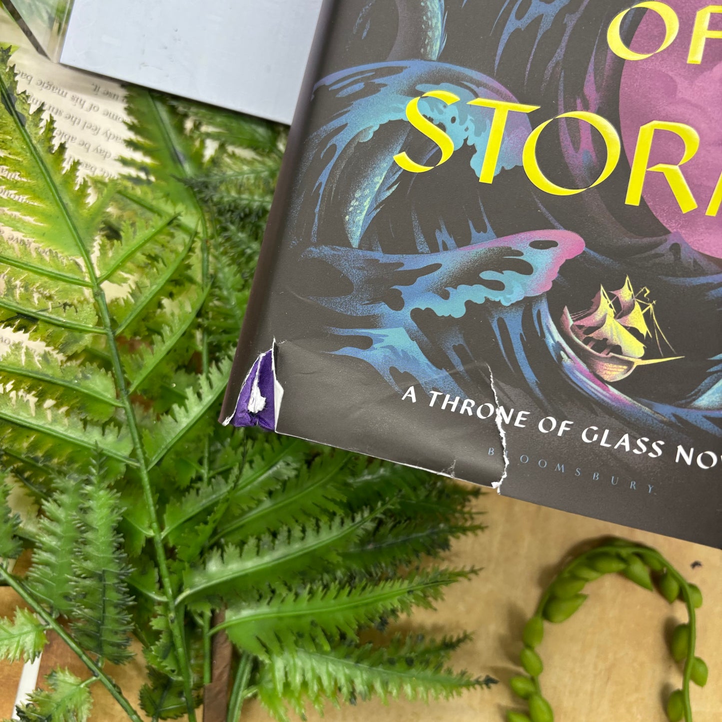 WOUNDED Sarah J. Maas Throne of Glass