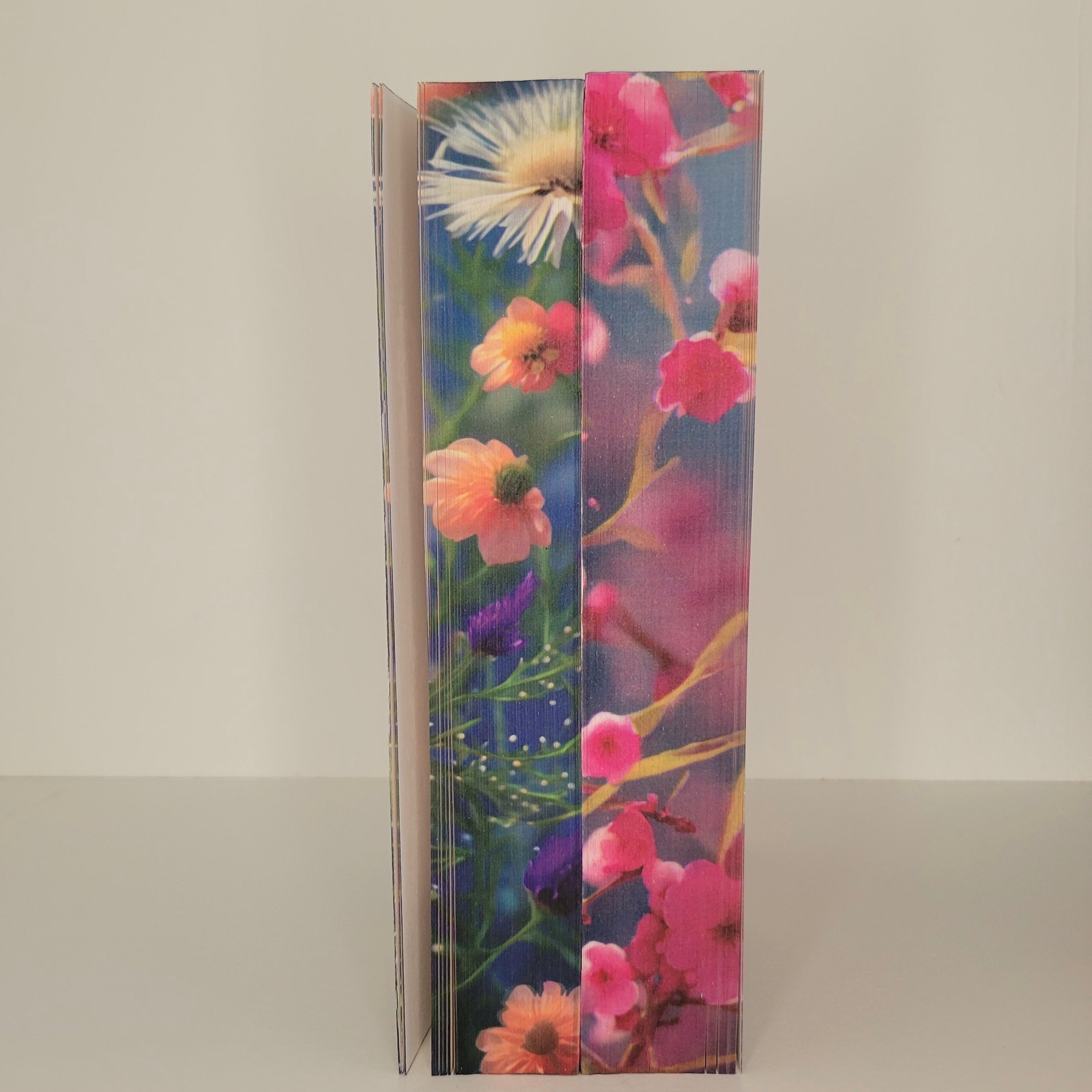 A River Enchanted by Rebecca Ross special edition paperback set with custom edges