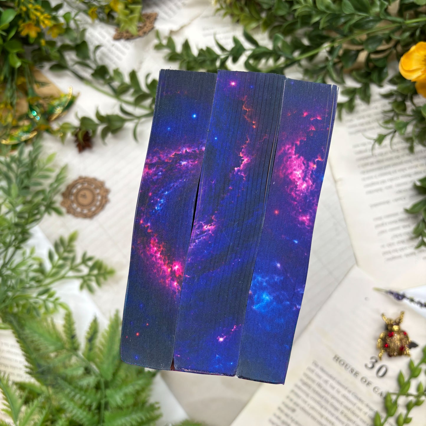 Andy Weir Collection featuring The Martian Project Hail Mary and Artemis special edition paperback set with custom edges bottoms