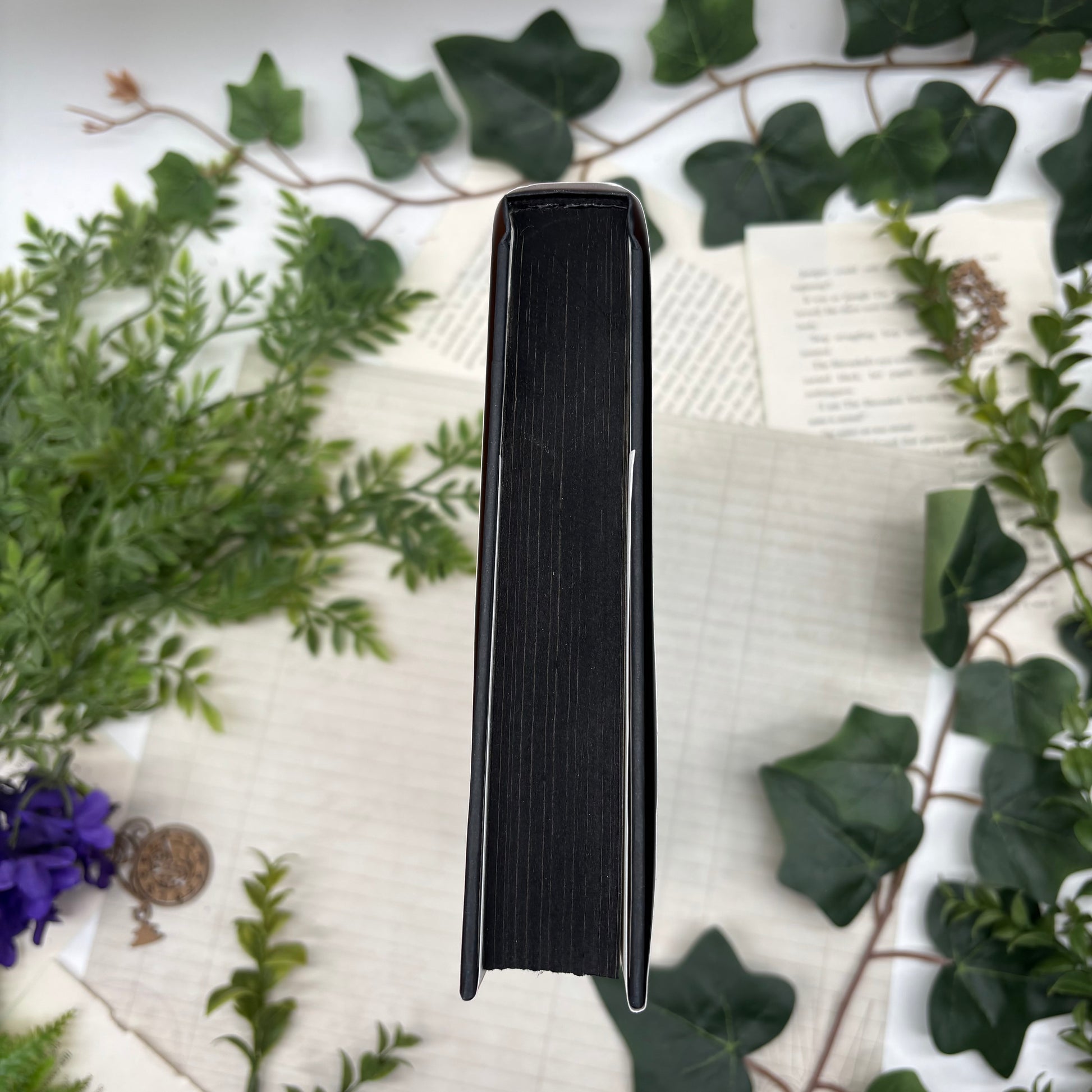 Special edition hardcover of The Martian by Andy Weir featuring custom printed and airbrushed edges