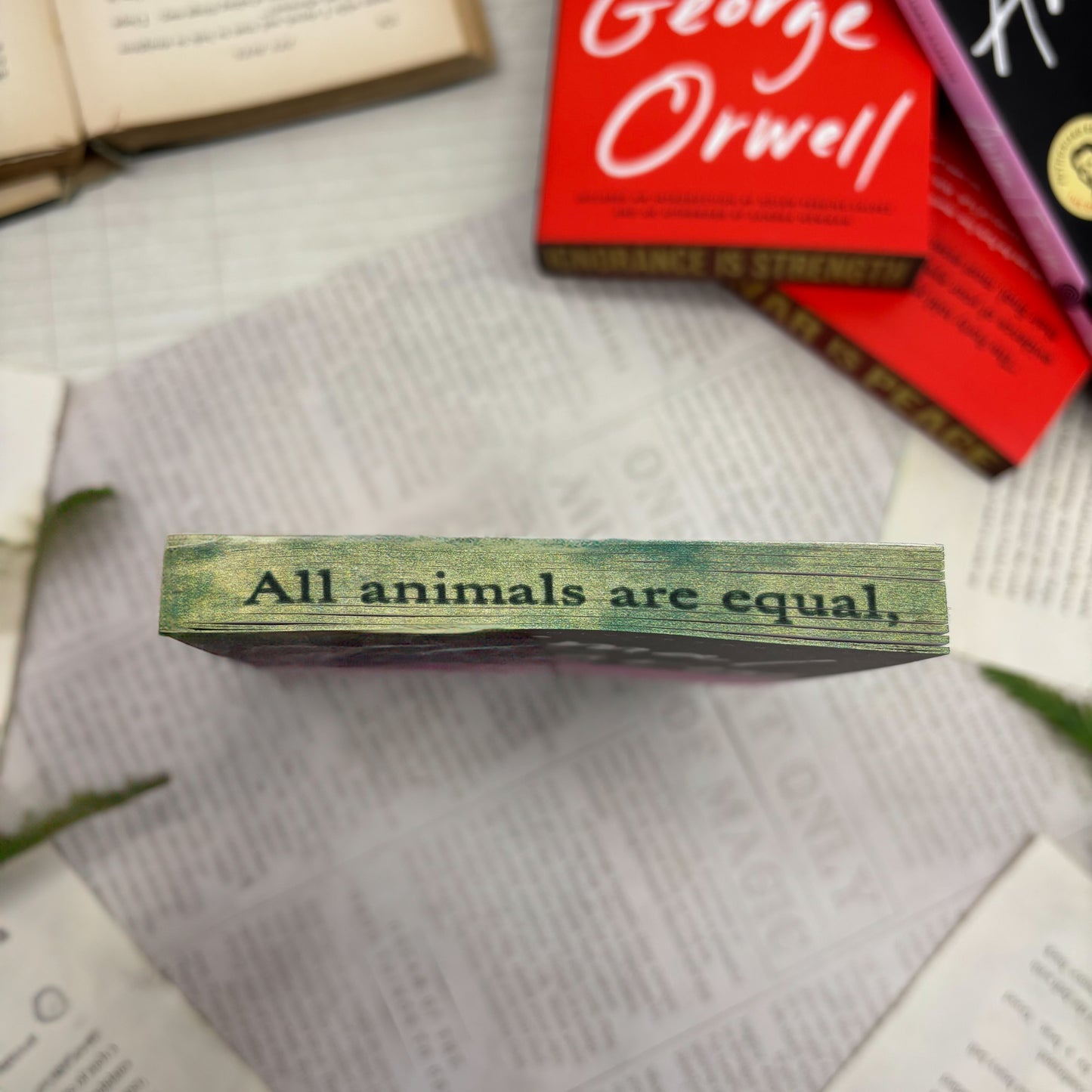 top view of Animal Farm paperback showing custom designed edges special edition