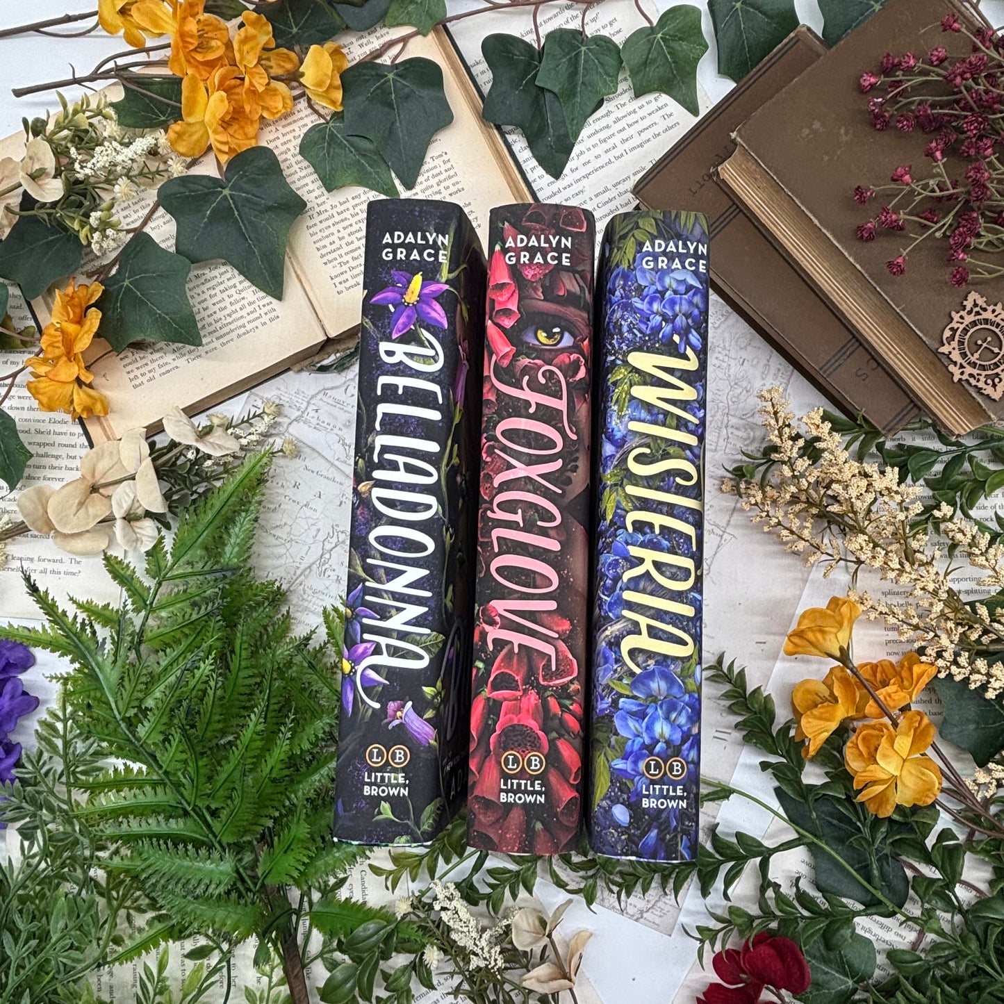 Flatlay of Belladonna special edition set spines