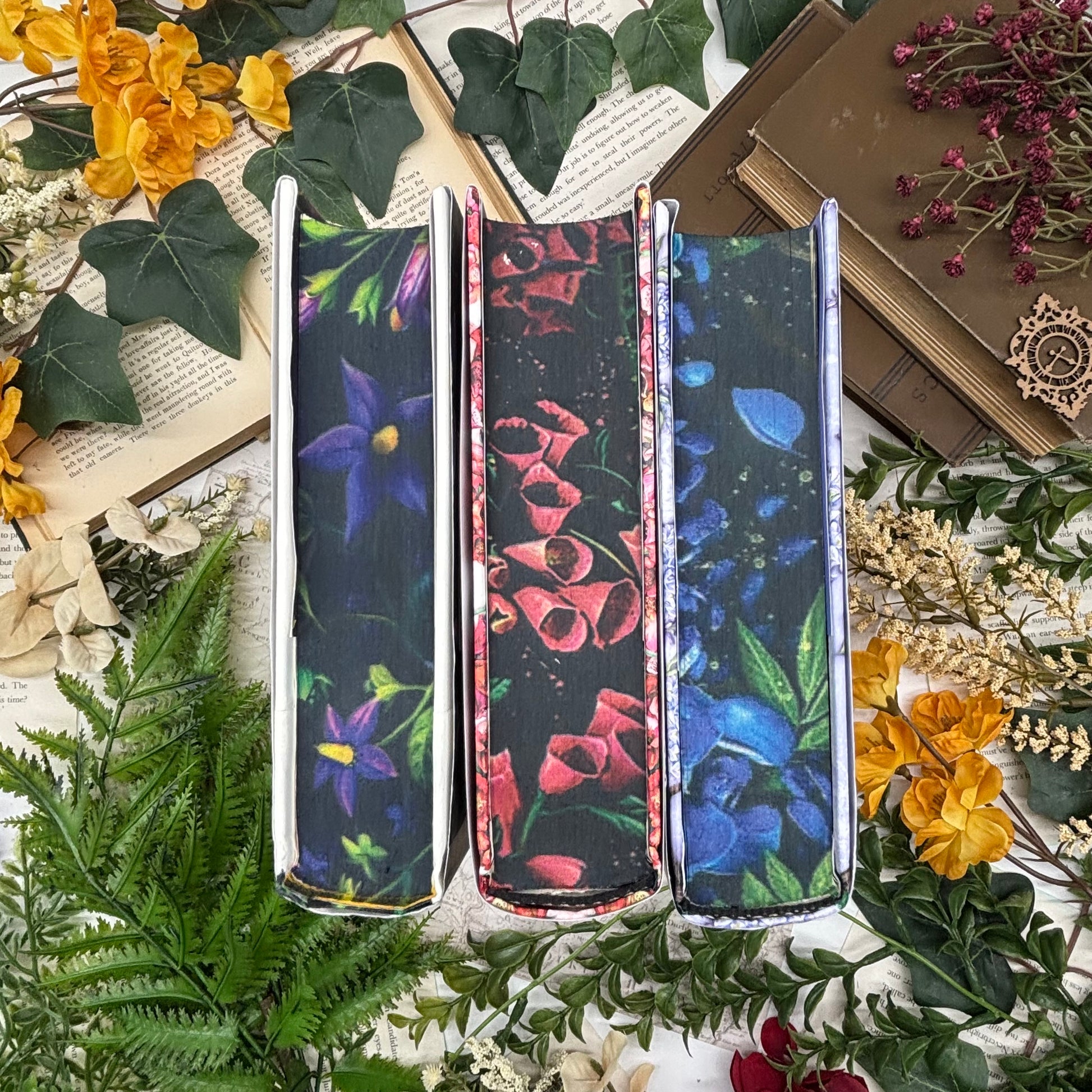 Special edition Belladonna book set with sprayed edges by Bibliapolis Books bottom view