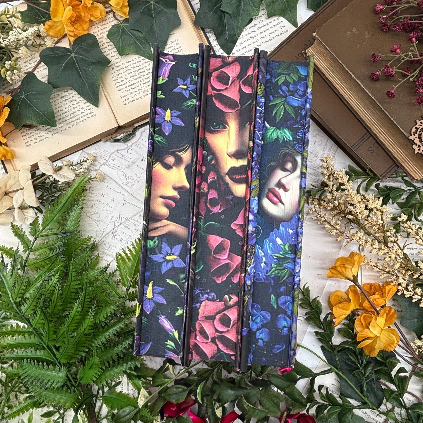 Special edition Belladonna book set with sprayed edges by Bibliapolis Books