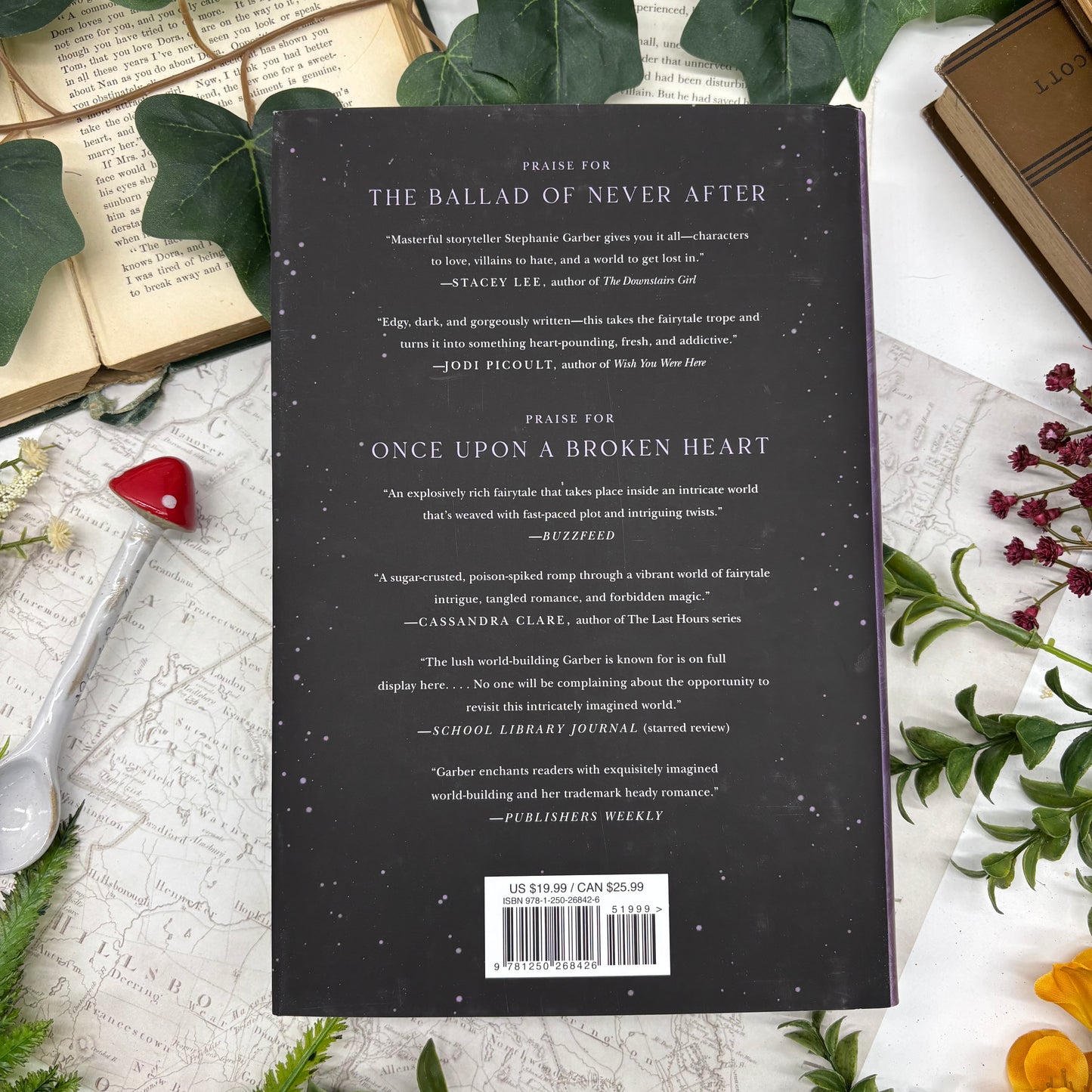 Blonde Jacks special edition hardcover set of Once Upon a Broken Heart and Ballad of Never After back cover