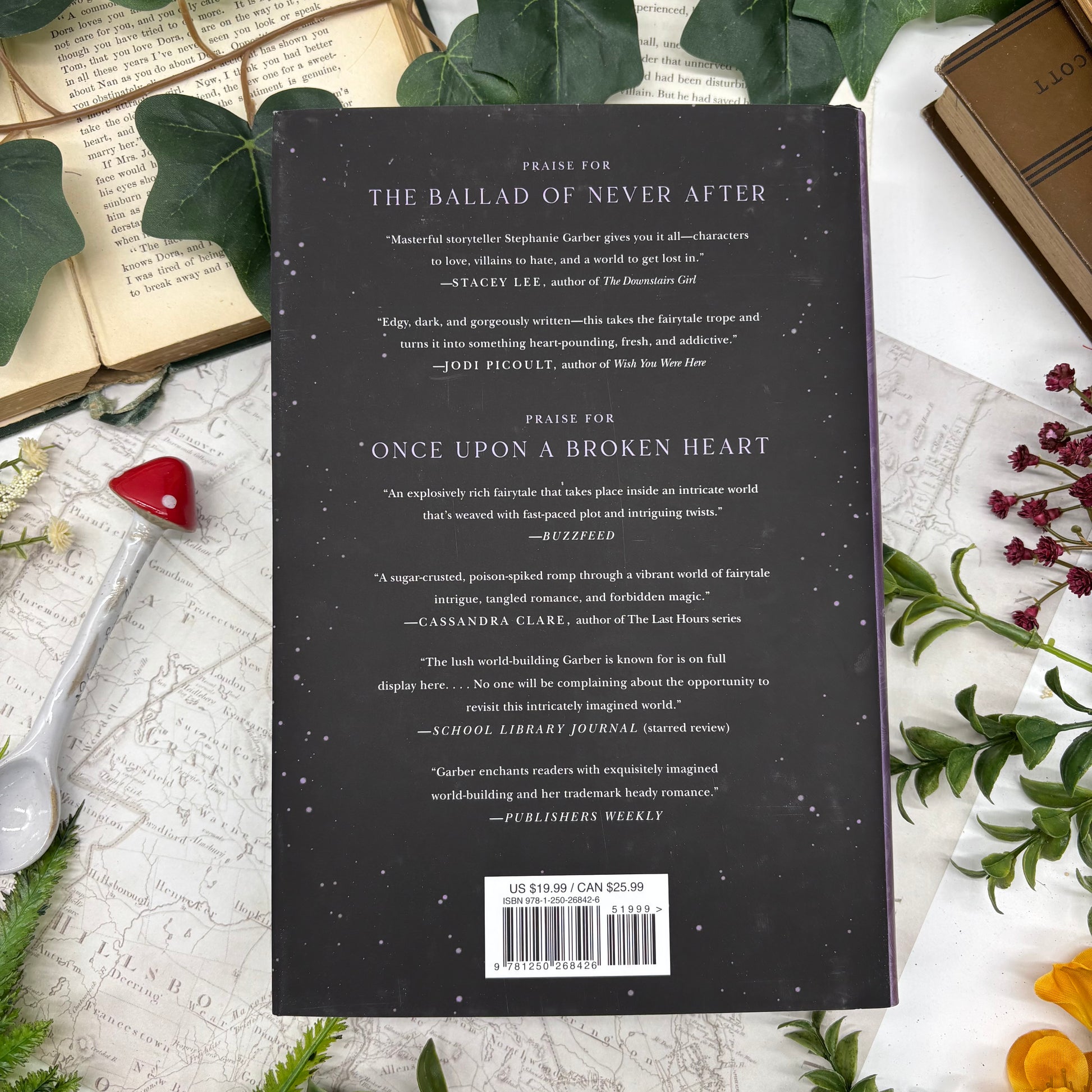 Blonde Jacks special edition hardcover set of Once Upon a Broken Heart and Ballad of Never After back cover