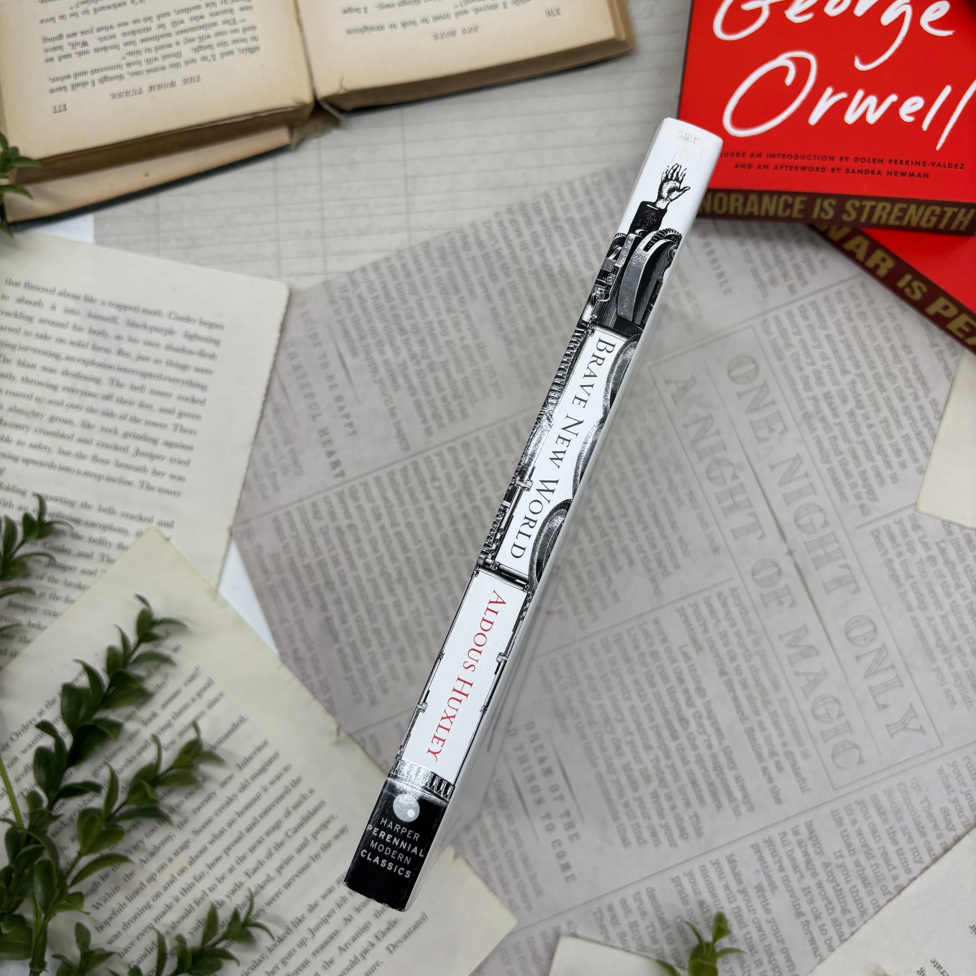 Brave New World by Aldous Huxley special edition paperback with custom designed edges spine view