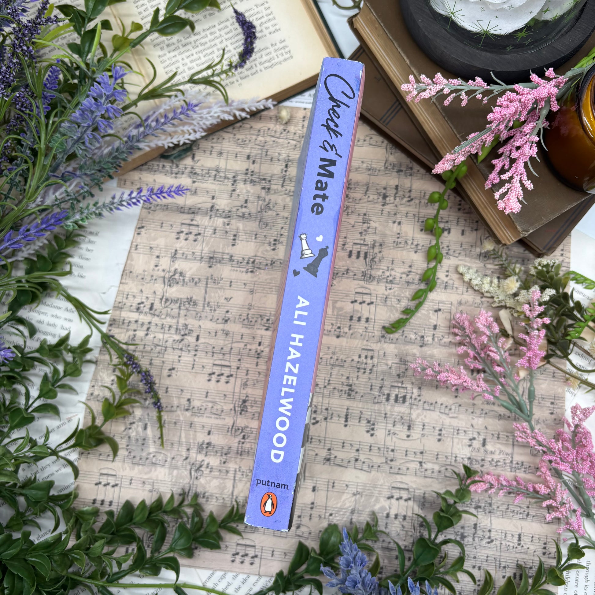 Checkmate special edition paperback box set with stenciled edges by Ali Hazelwood spine