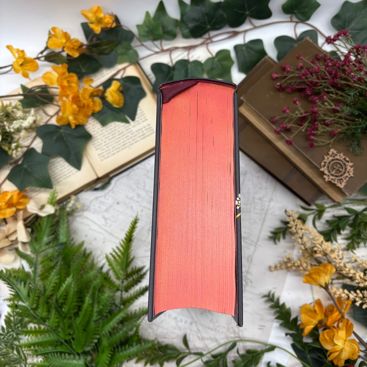 Complete Novels of Jane Austen special edition hardcover with custom designed edges top view