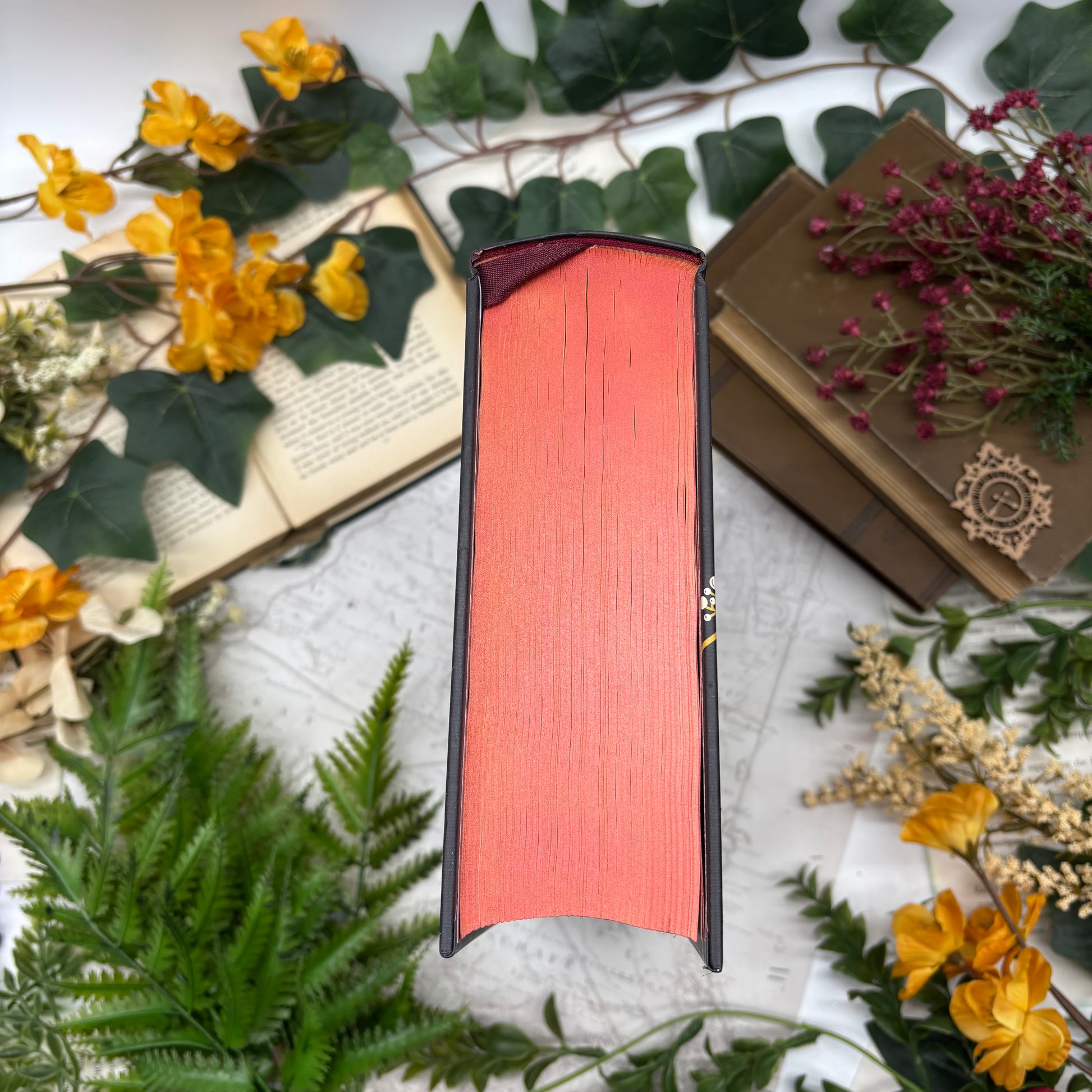 Complete Novels of Jane Austen special edition hardcover with custom designed edges top view