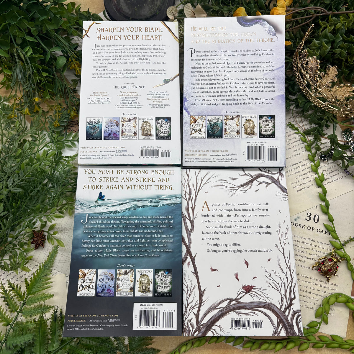 The Cruel Prince Trilogy by Holly Black special edition paperback set with custom designed edges back covers