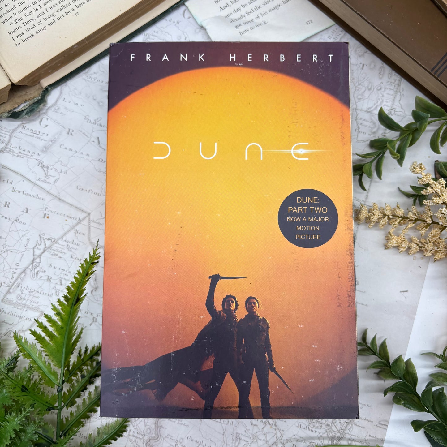 Dune special edition paperback with stenciled edges by Frank Herbert cover