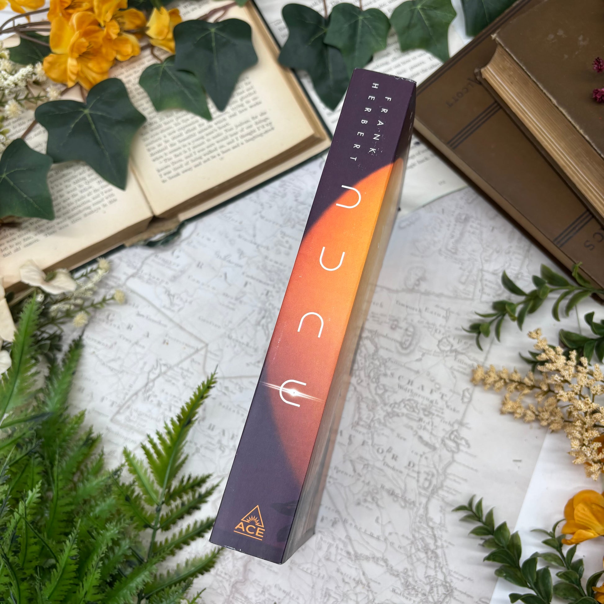 Dune special edition paperback with stenciled edges by Frank Herbert spine