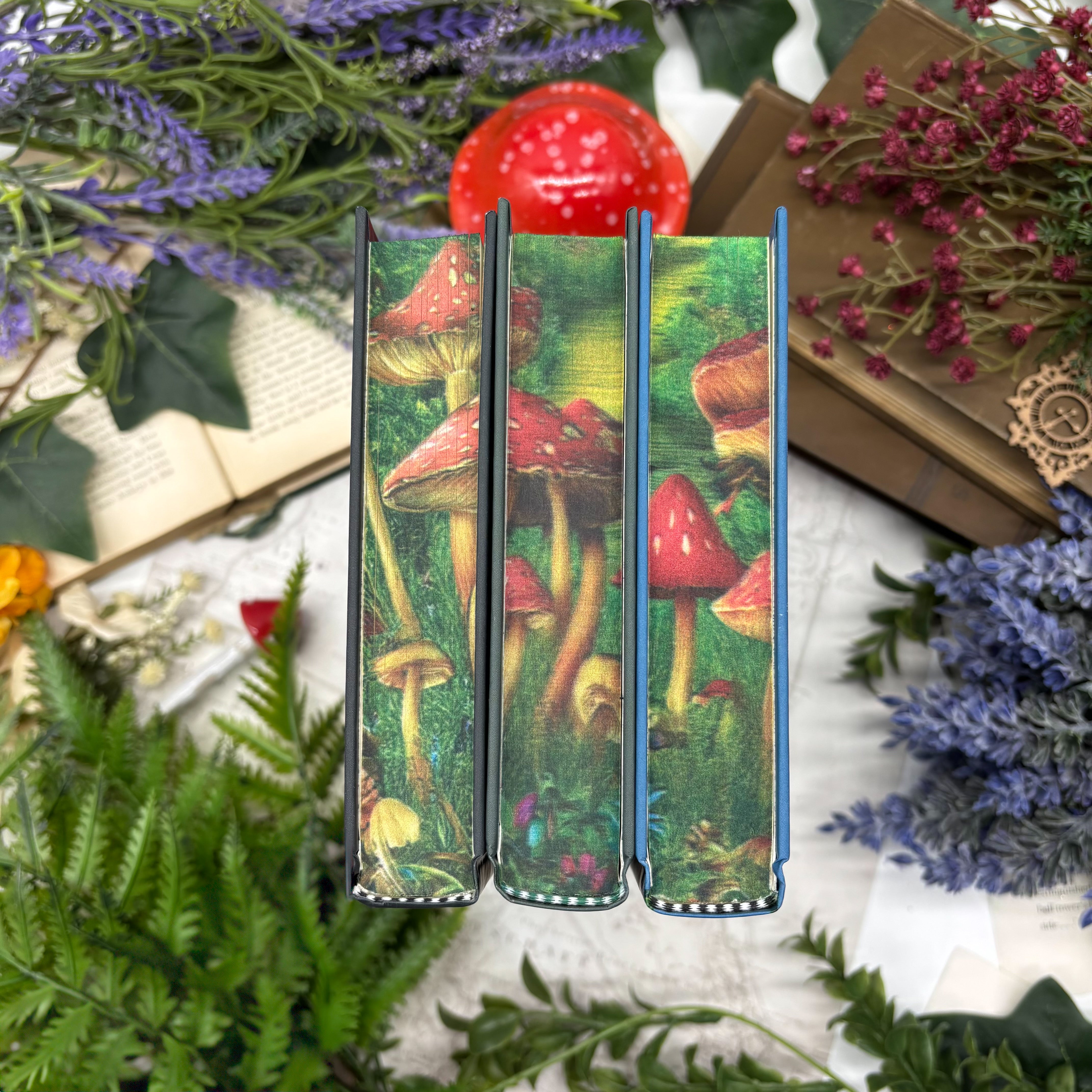 文学・小説 [SIGNED] Emily Wilde Series bundle set Did you know you can preorder a SIGNED copy of Emily Wilde's