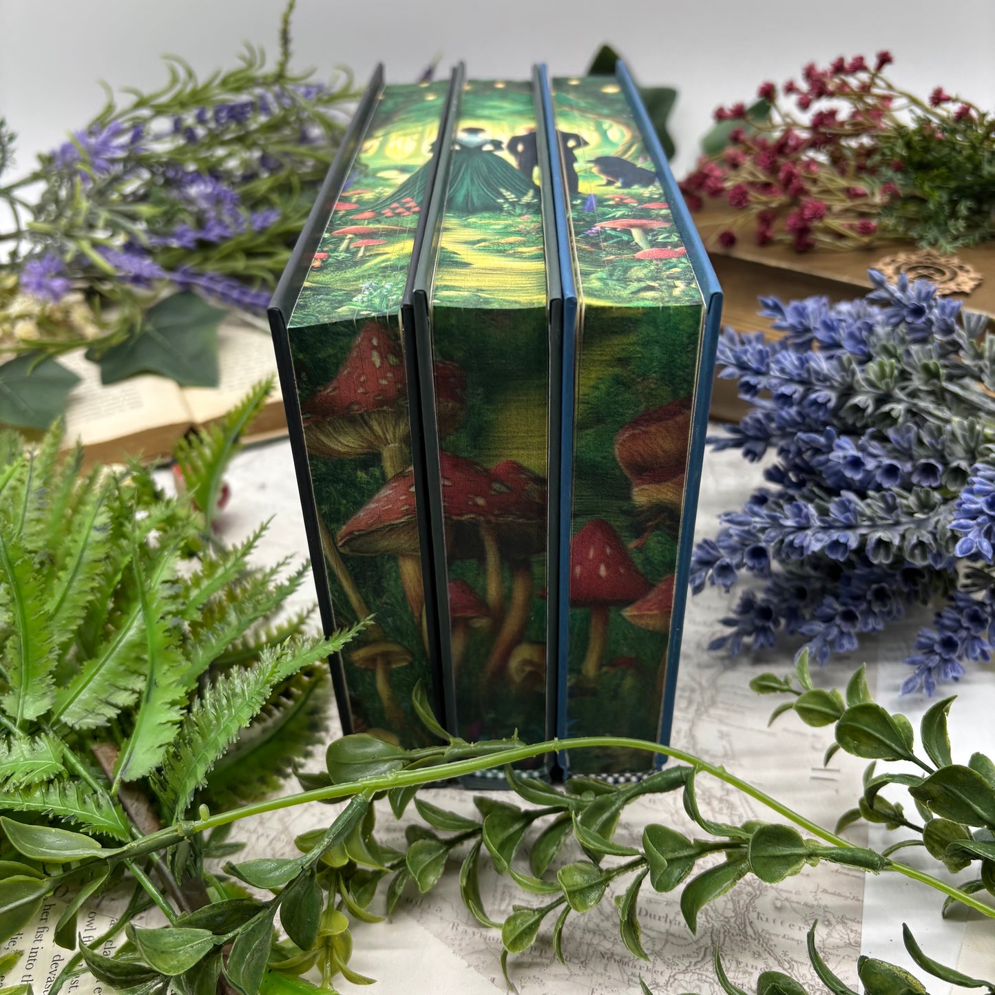 Emily Wilde special edition hardcover book set by Heather Fawcett with custom printed edges