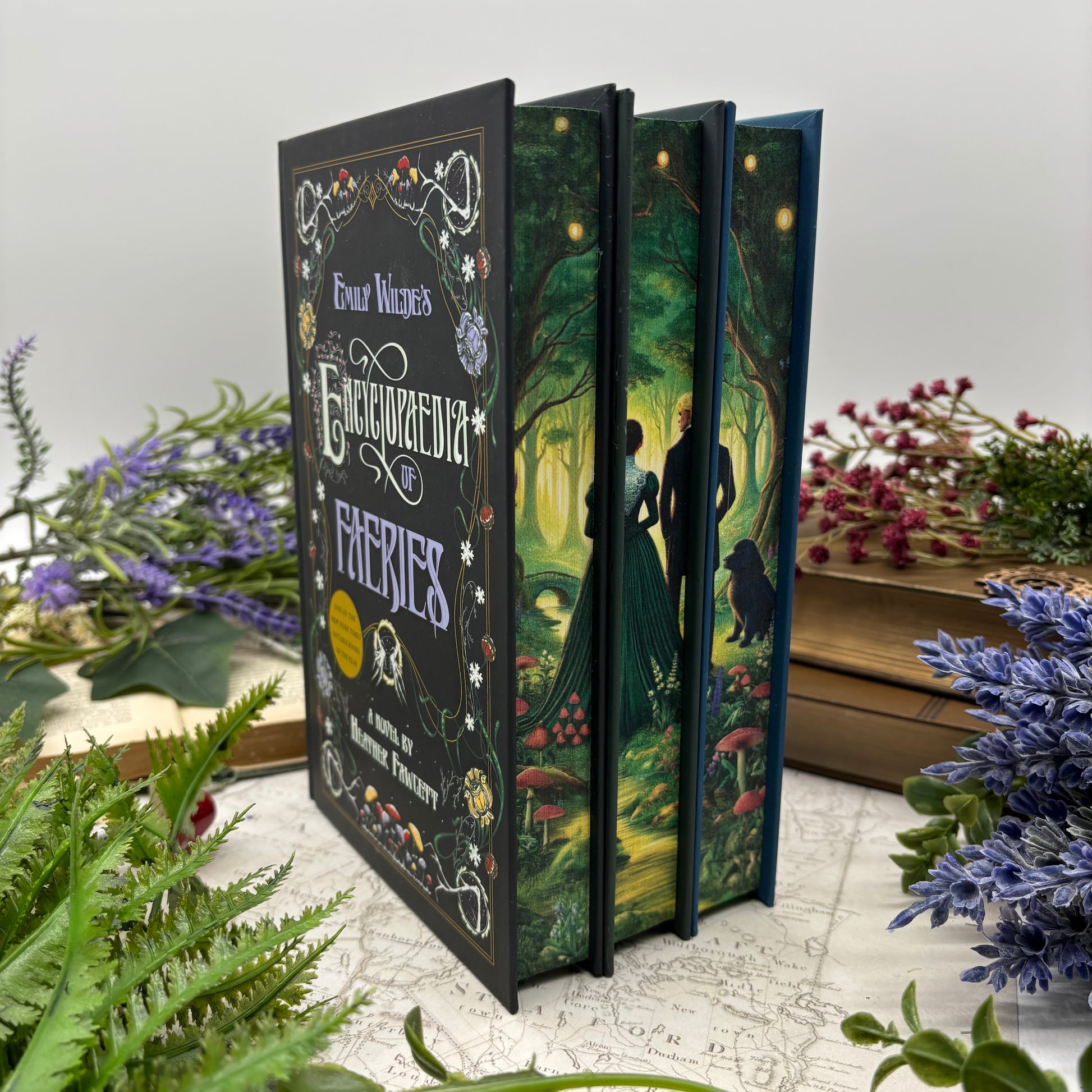 Emily Wilde special edition hardcover book set by Heather Fawcett with custom printed edges