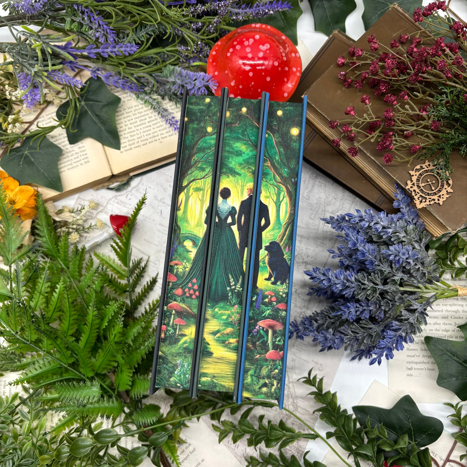 Emily Wilde special edition hardcover book set by Heather Fawcett with custom printed edges