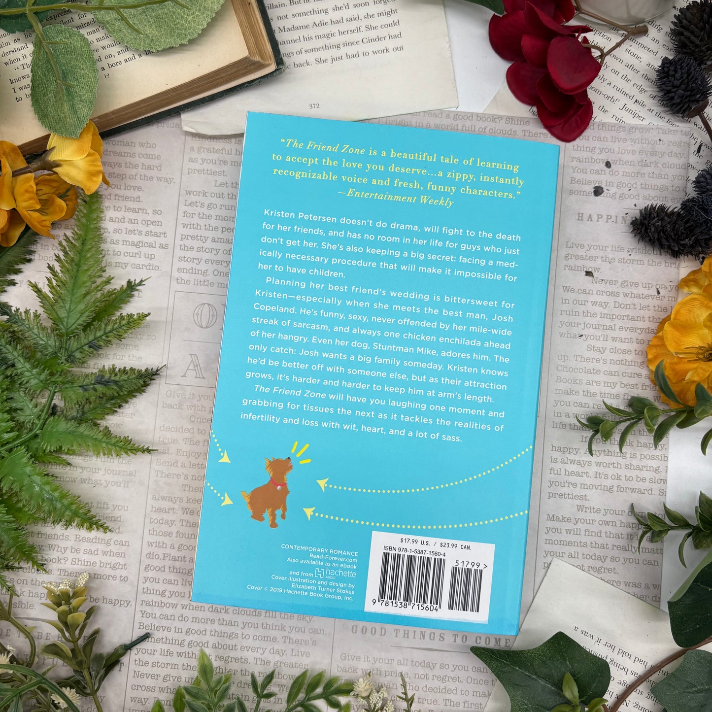 back view of The Friend Zone paperback showing custom sprayed edges special edition