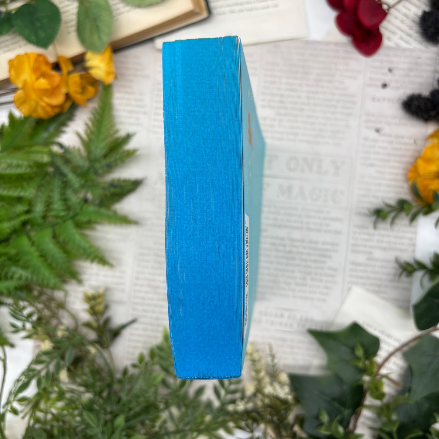 bottom view of The Friend Zone paperback showing custom sprayed edges special edition