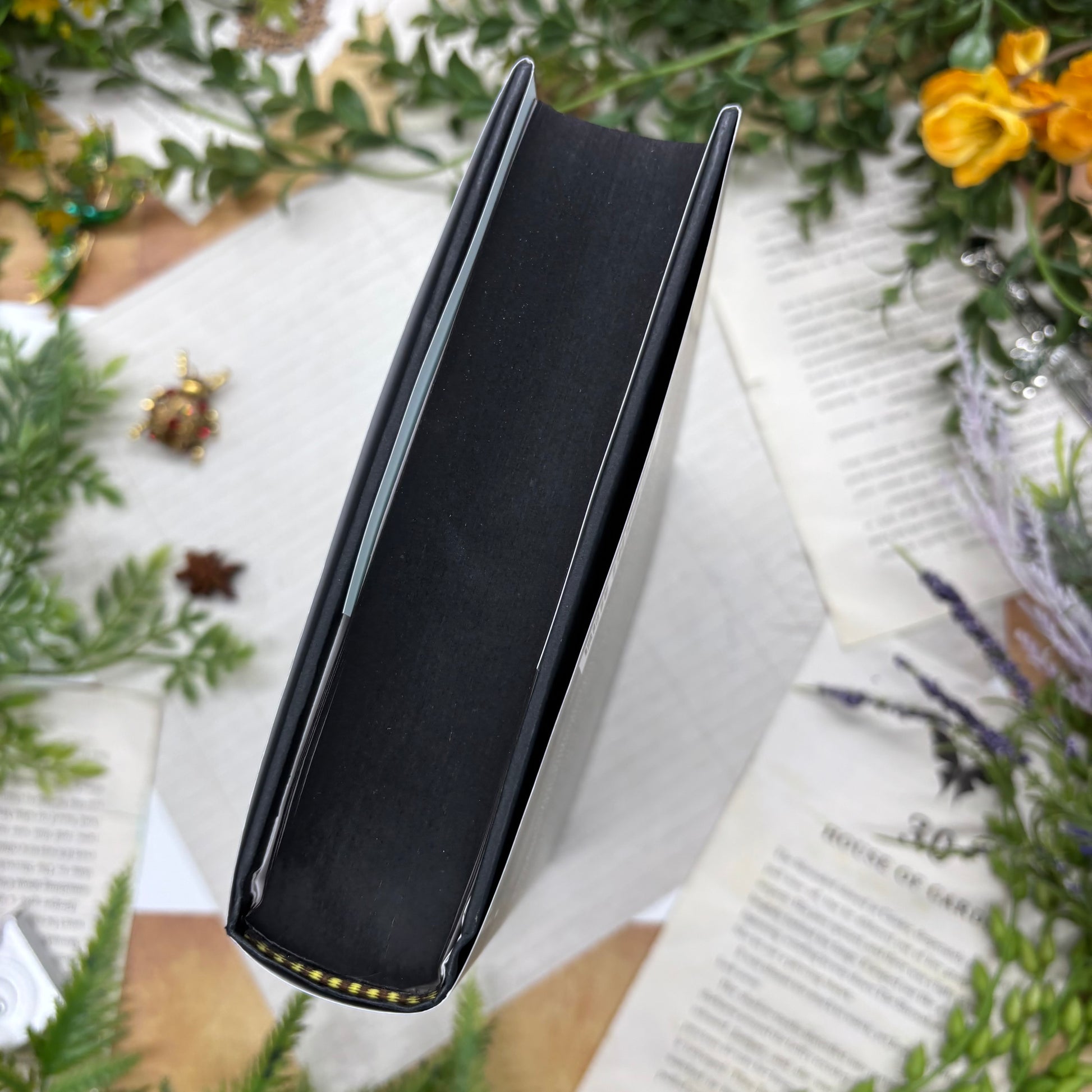 Katabasis by R. F. Kuang special edition hardcover with custom designed edges bottom view