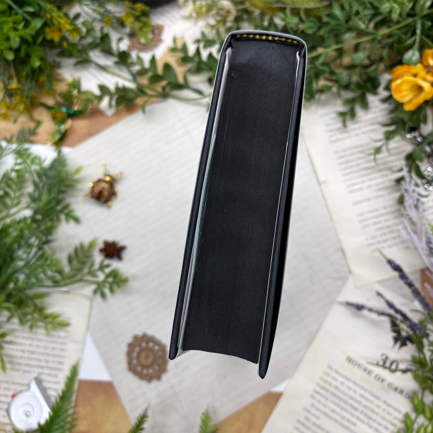 Katabasis by R. F. Kuang special edition hardcover with custom designed edges top view