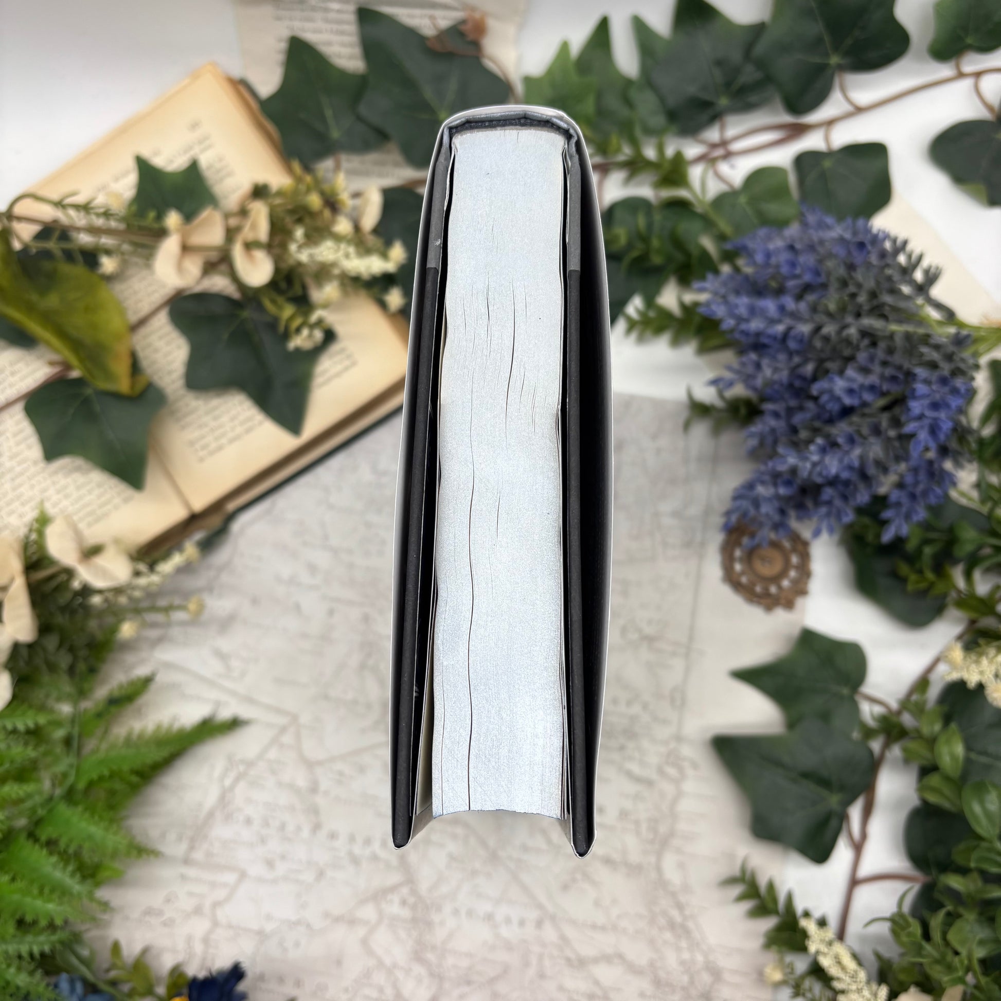 The Knight and the Moth special edition hardcover with printed edges airbrushed top