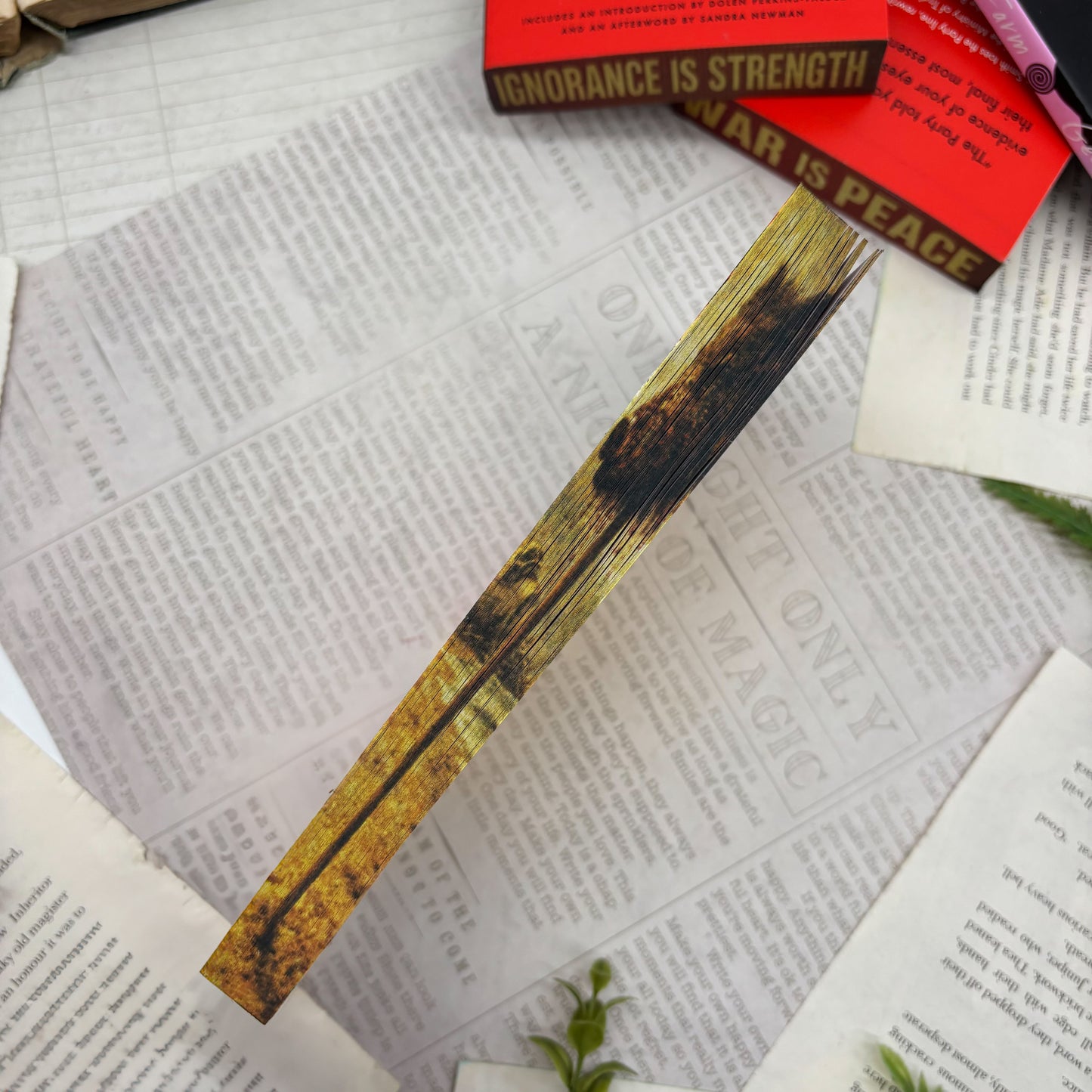 Lord of the Flies by William Golding special edition paperback with custom designed edges middle view