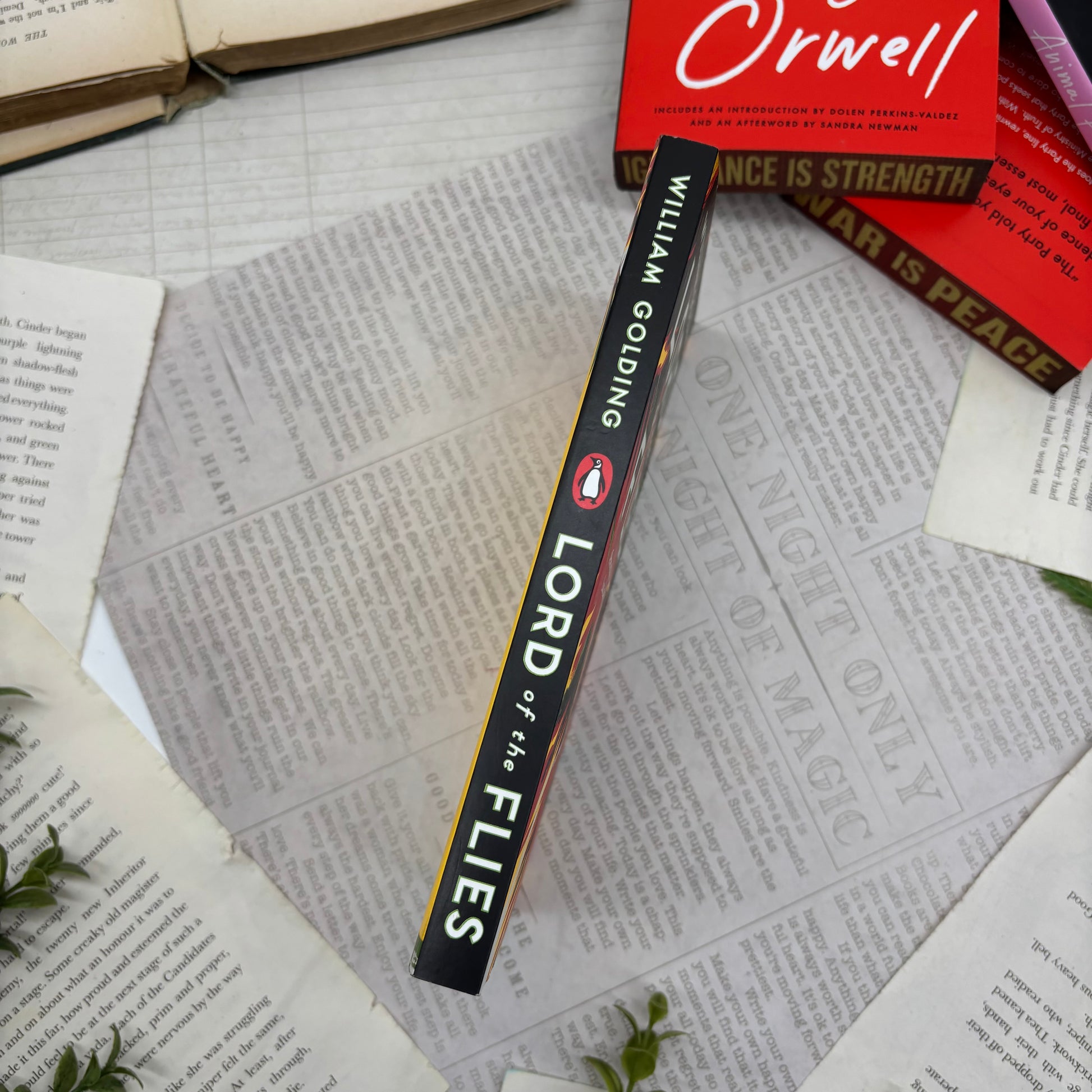 Lord of the Flies by William Golding special edition paperback with custom designed edges spine