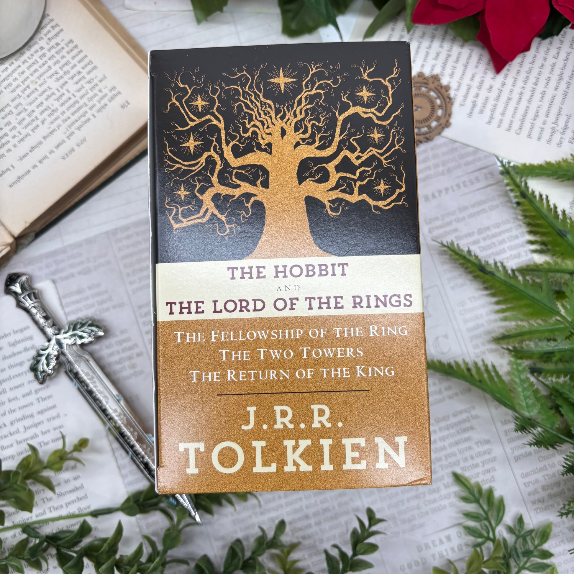 Lord of the Rings paperback set by J. R. R. Tolkien with rings custom edges special edition box