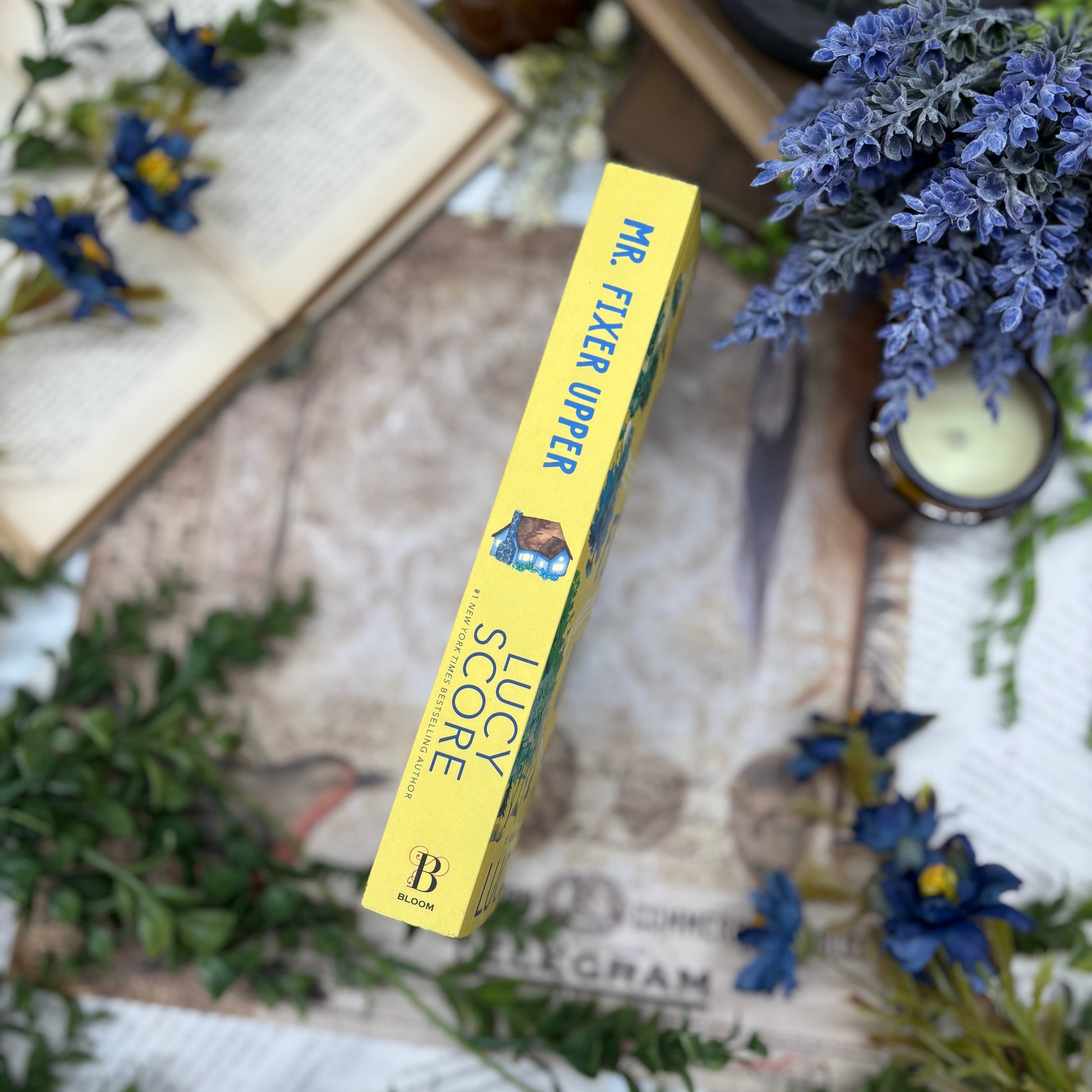 Mr. Fixer Upper special edition paperback with custom printed edges by Lucy Score spine