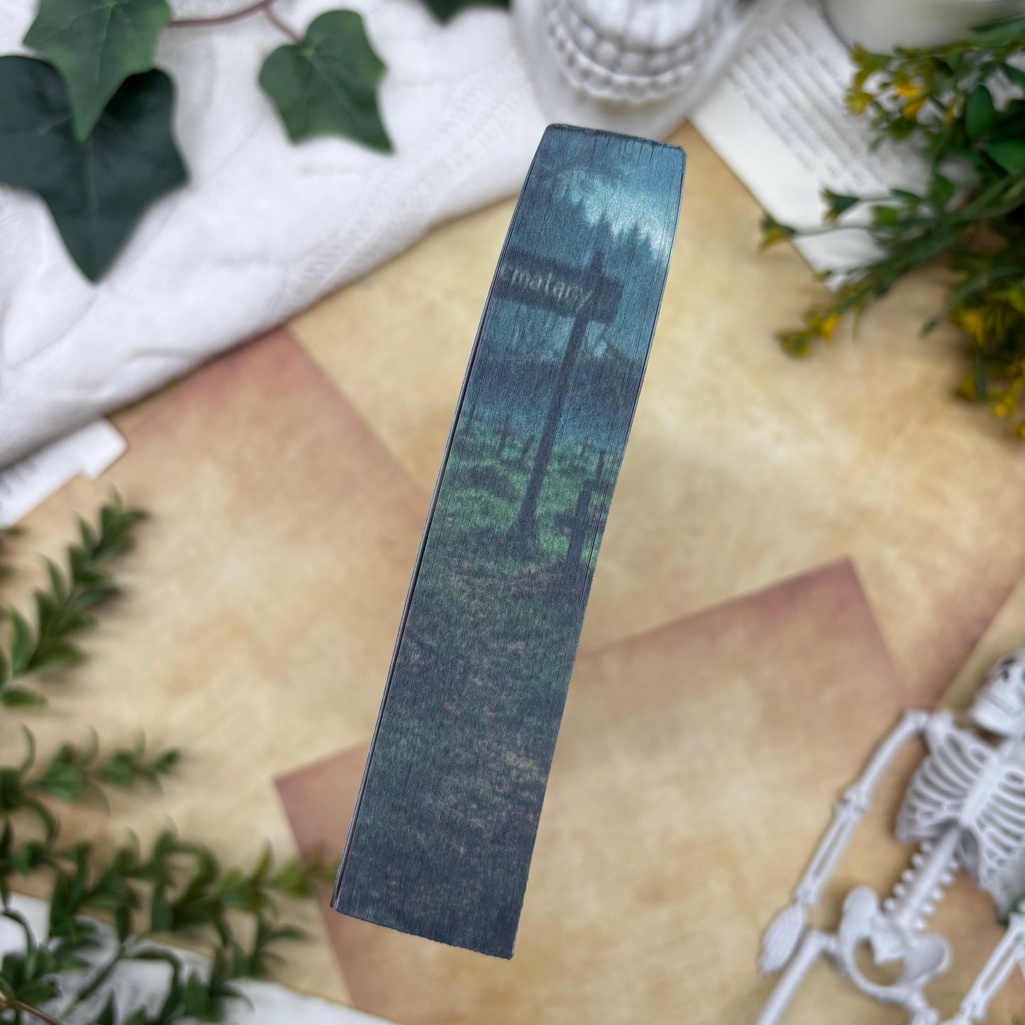 Pet Sematary by Stephen King special edition paperback with custom designed edges top view