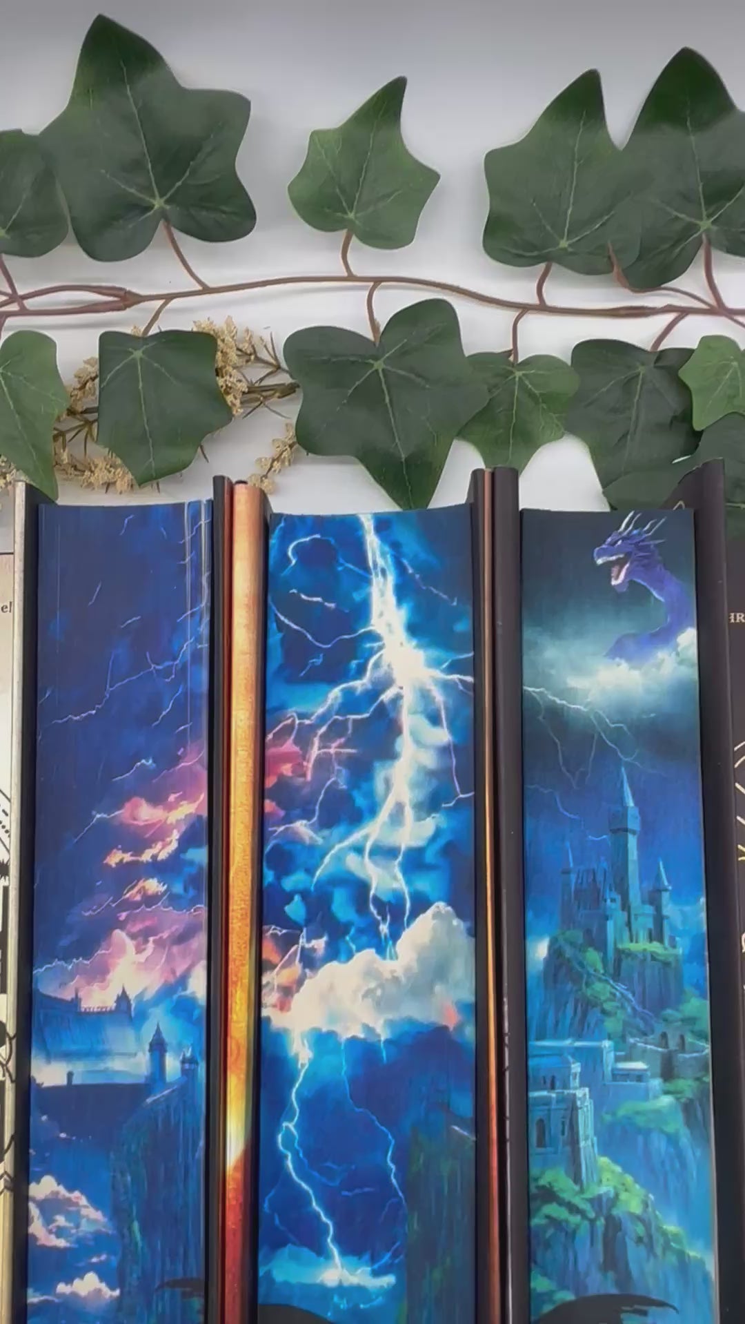 Fourth Wing, Iron Flame and Onyx Storm – Bibliapolis Books